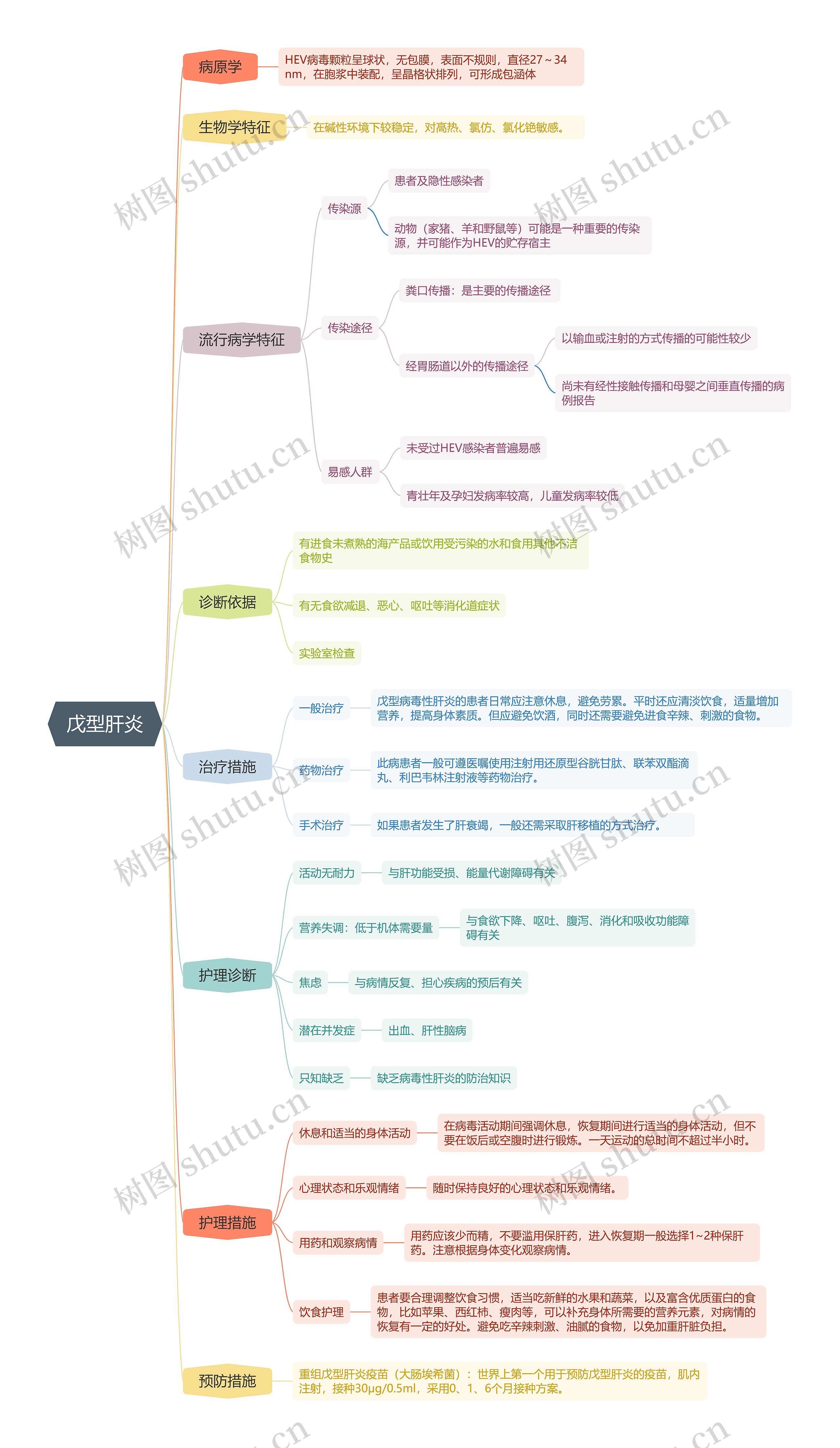 戊型肝炎医学知识脑图