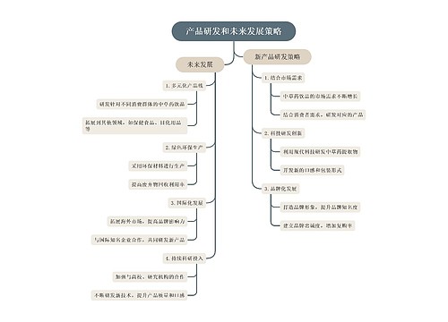 产品研发和未来发展策略_副本