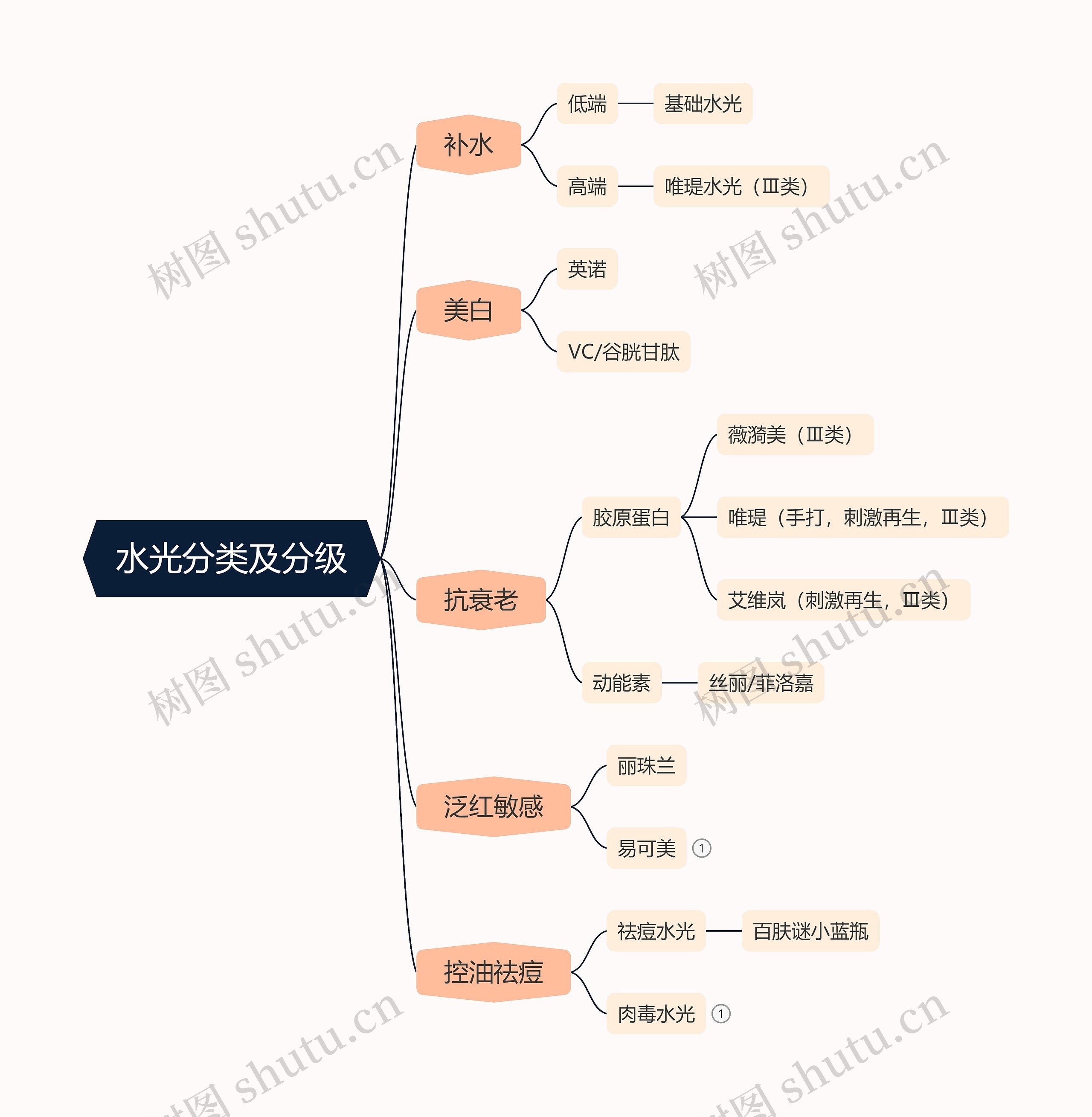 水光分类及分级脑图