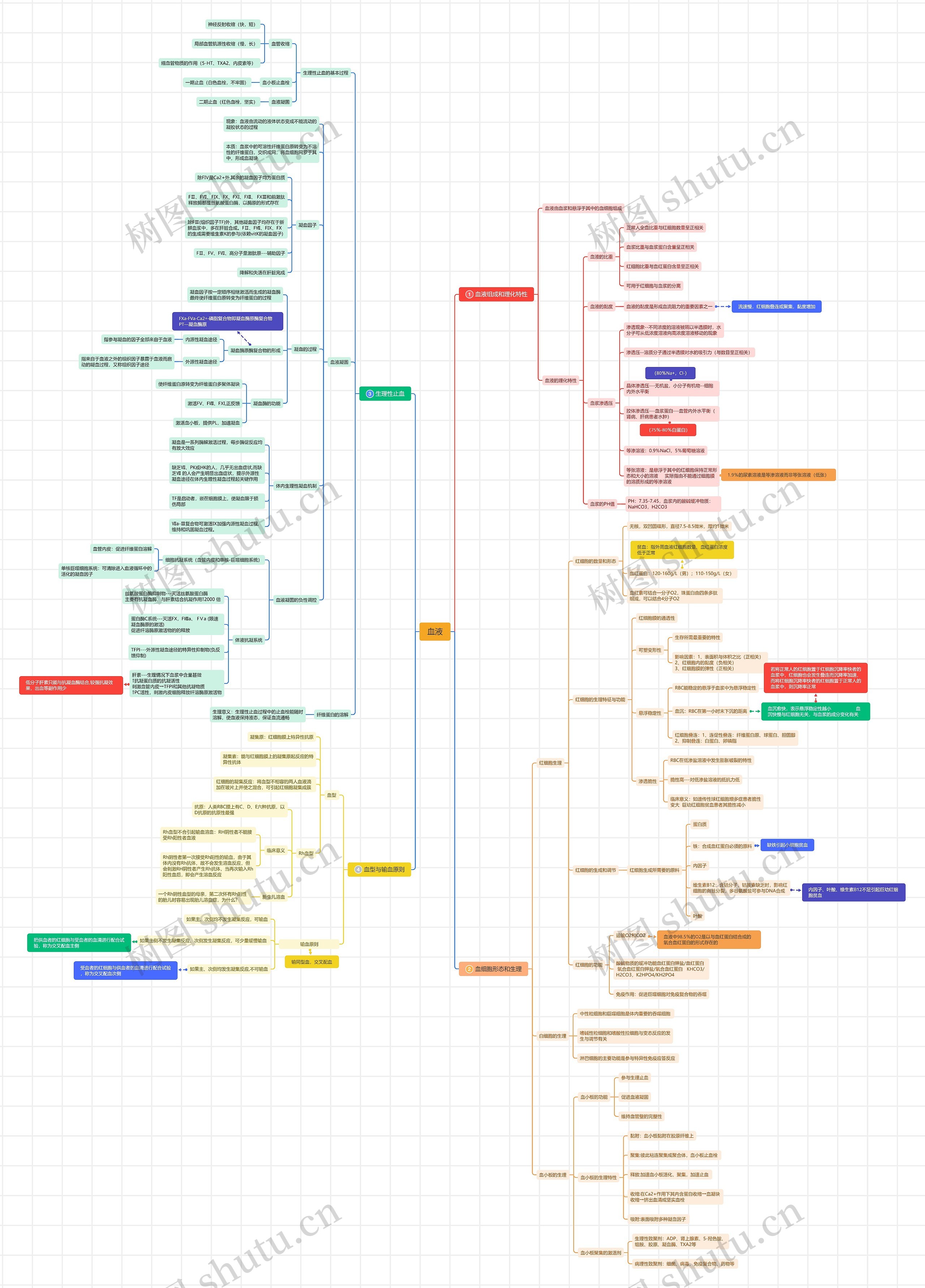 血液思维导图