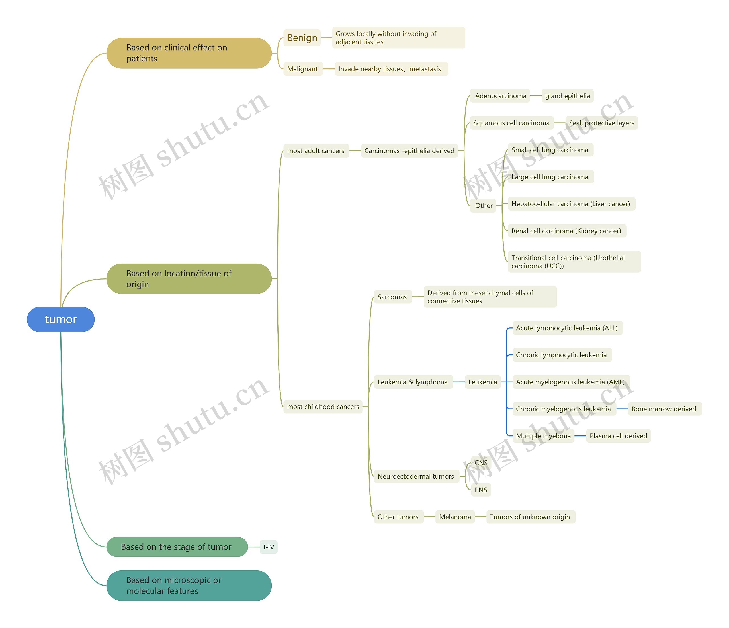 tumor思维导图