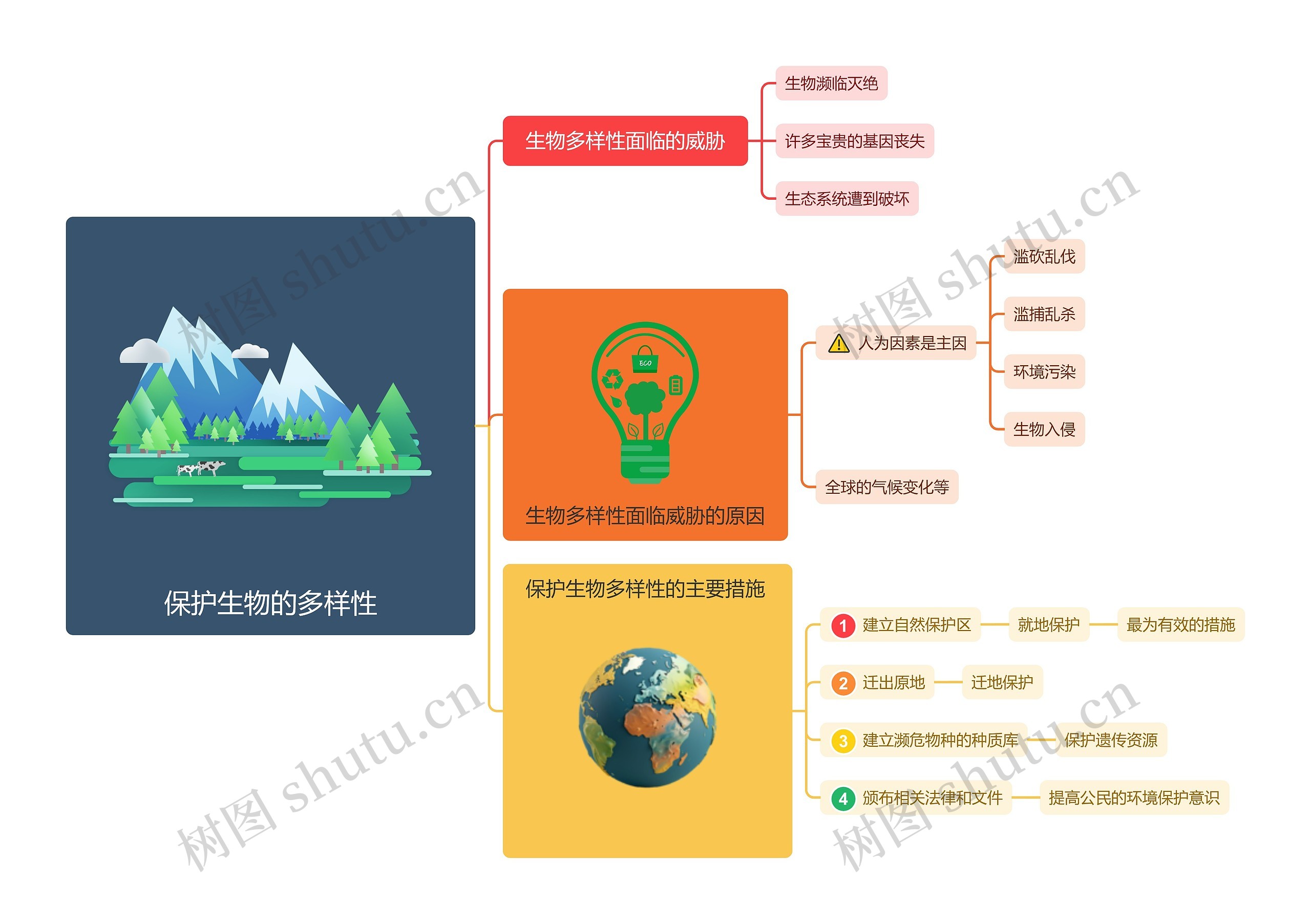 保护生物的多样性脑图