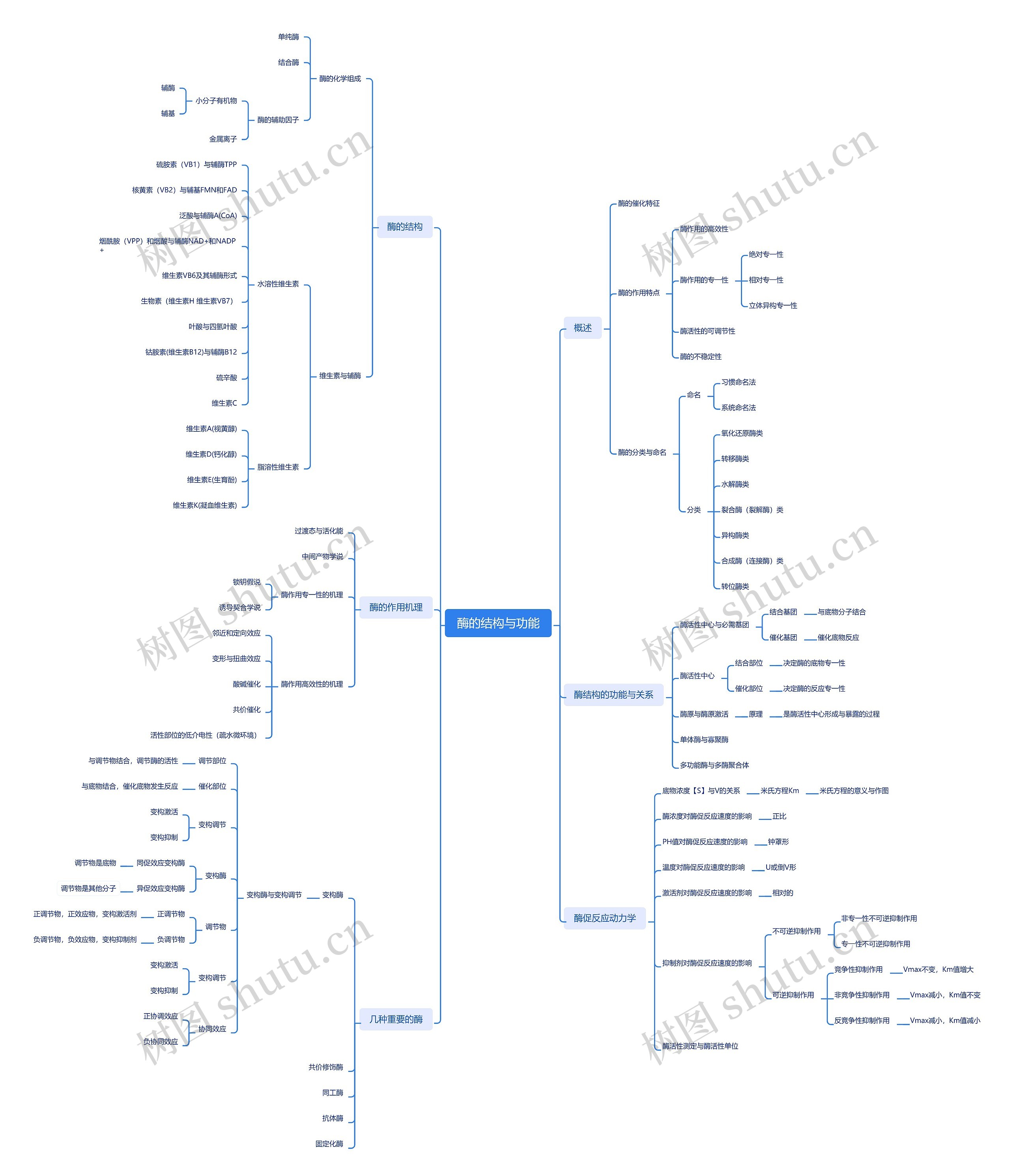 ﻿酶的结构与功能思维导图