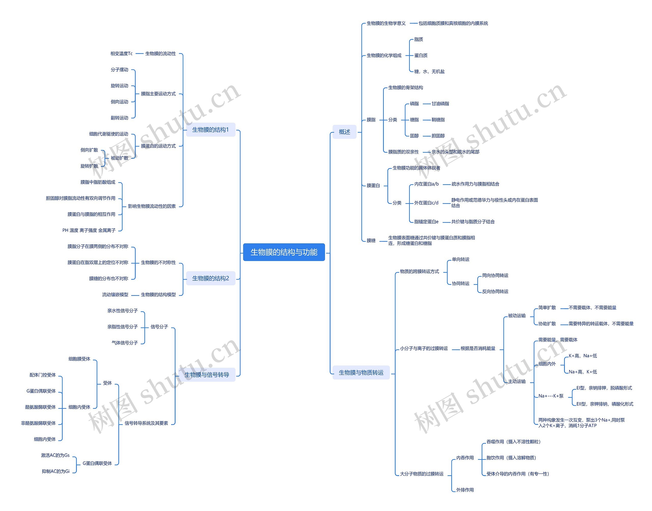 生物膜的结构与功能思维导图