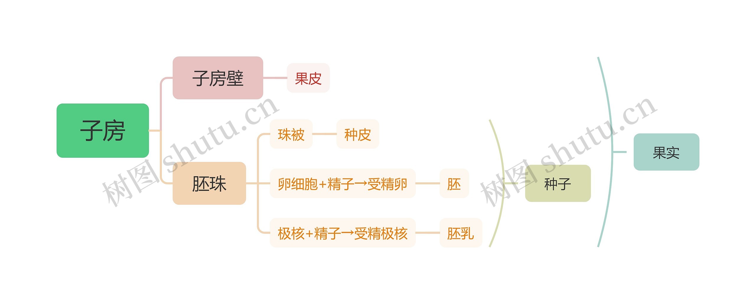 子房思维导图