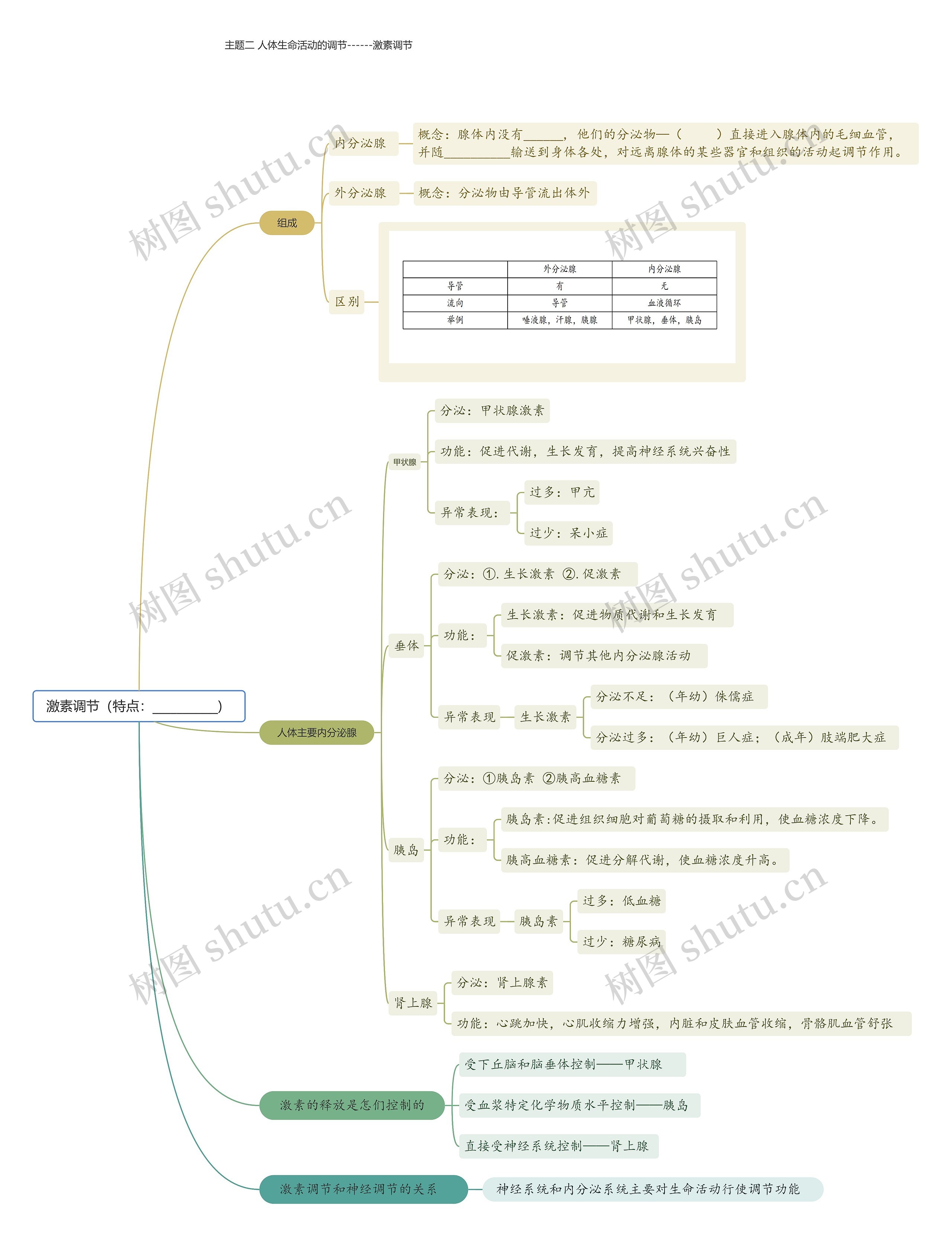 激素调节(特点:___________)思维导图高清图 激素调节(特点:___________)思维导图