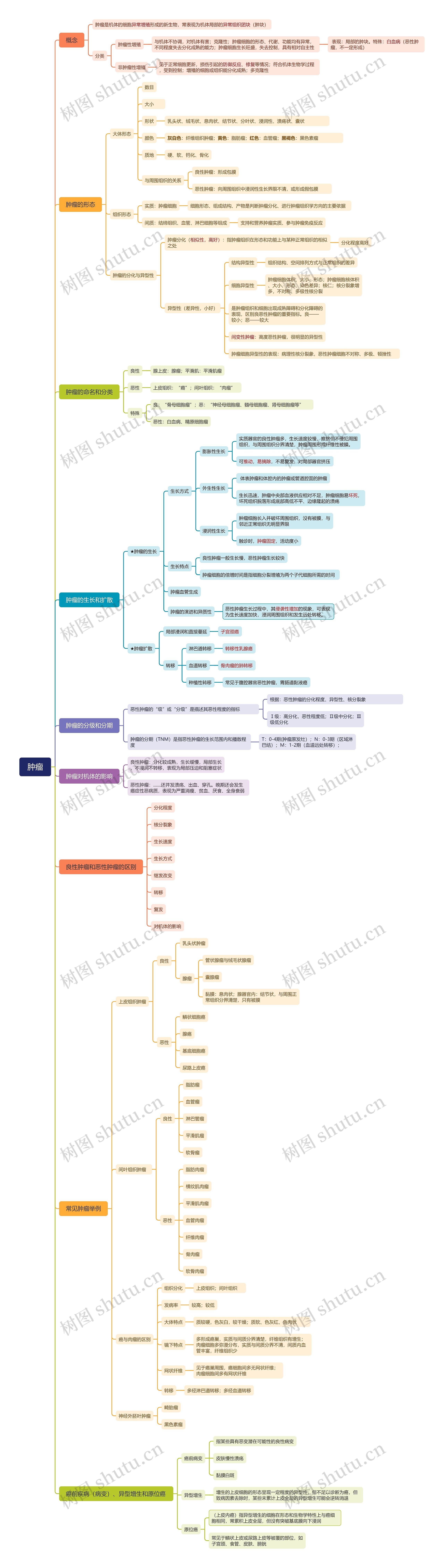 肿瘤思维导图