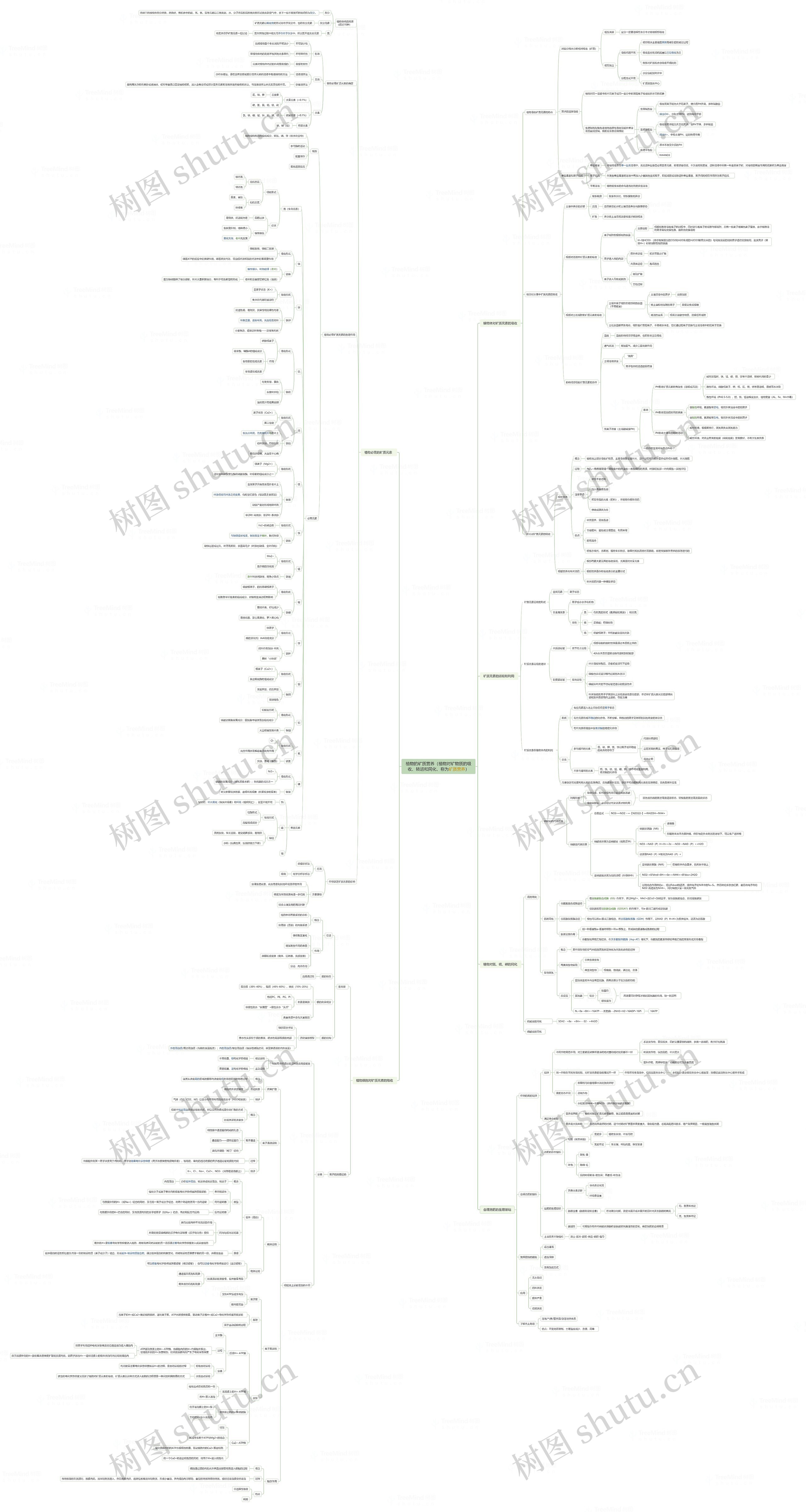 植物的矿质营养（植物对矿物质的吸收、转运和同化，称为矿质营养）思维导图