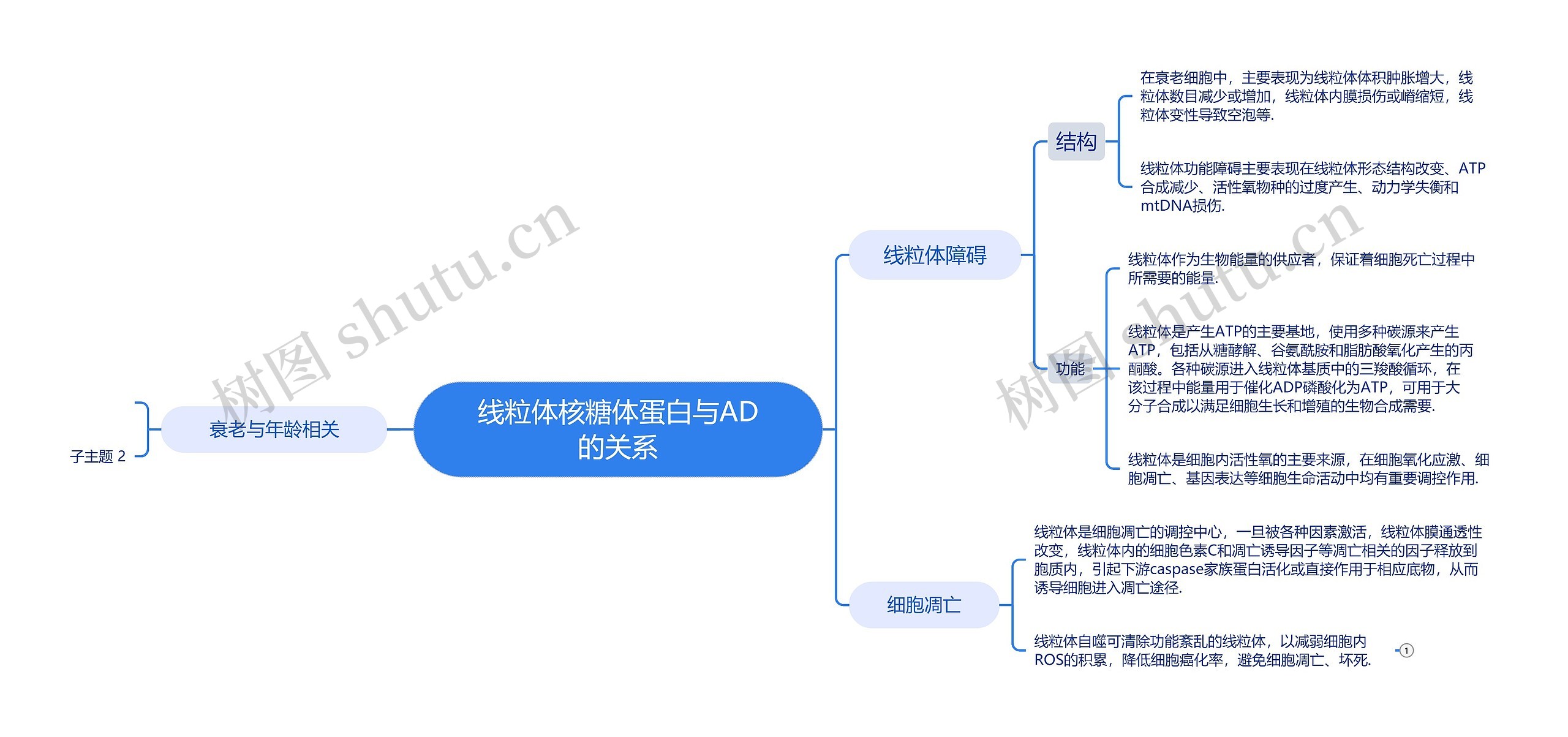 线粒体核糖体蛋白与AD的关系思维导图