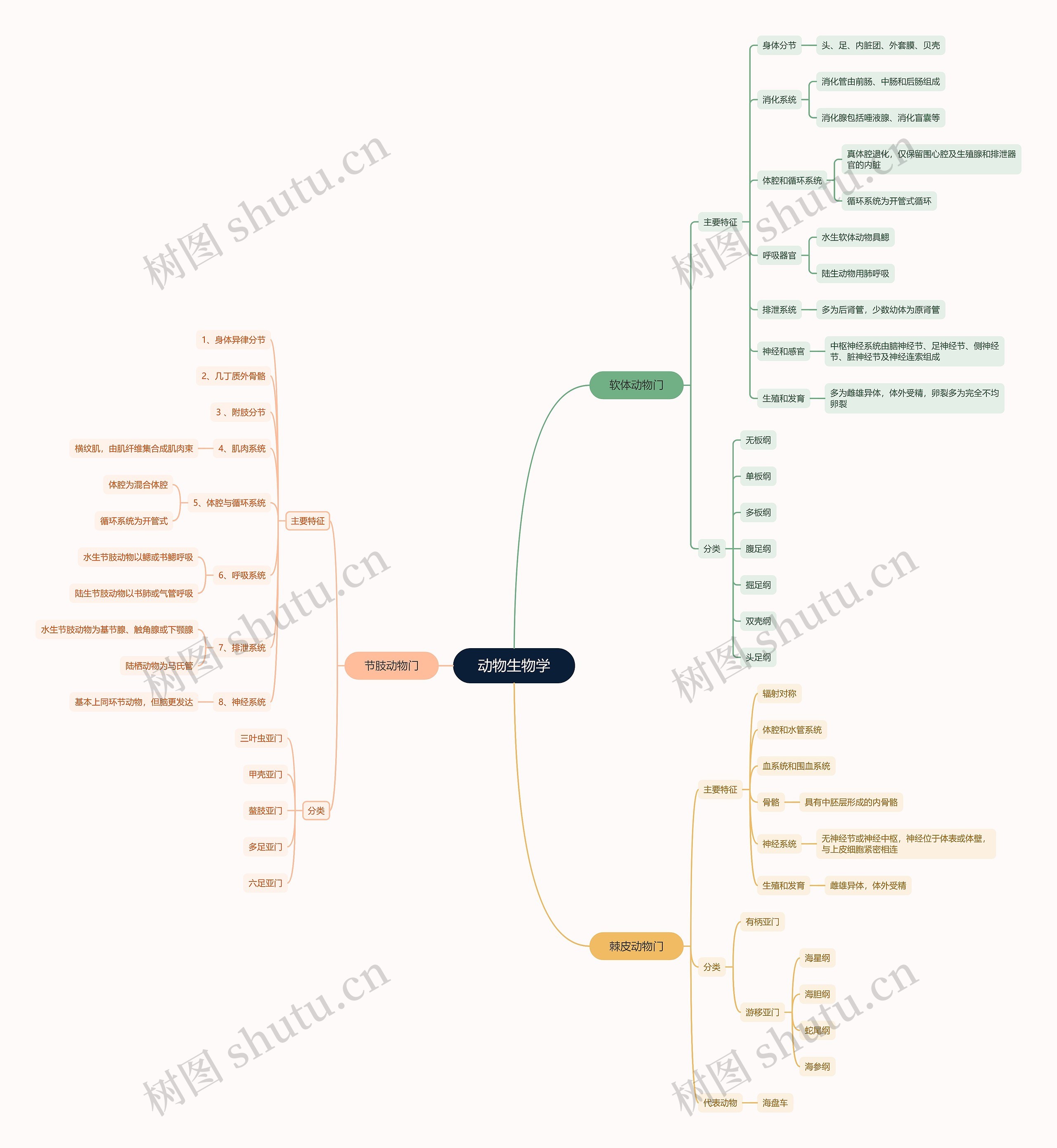 动物生物学_副本思维导图