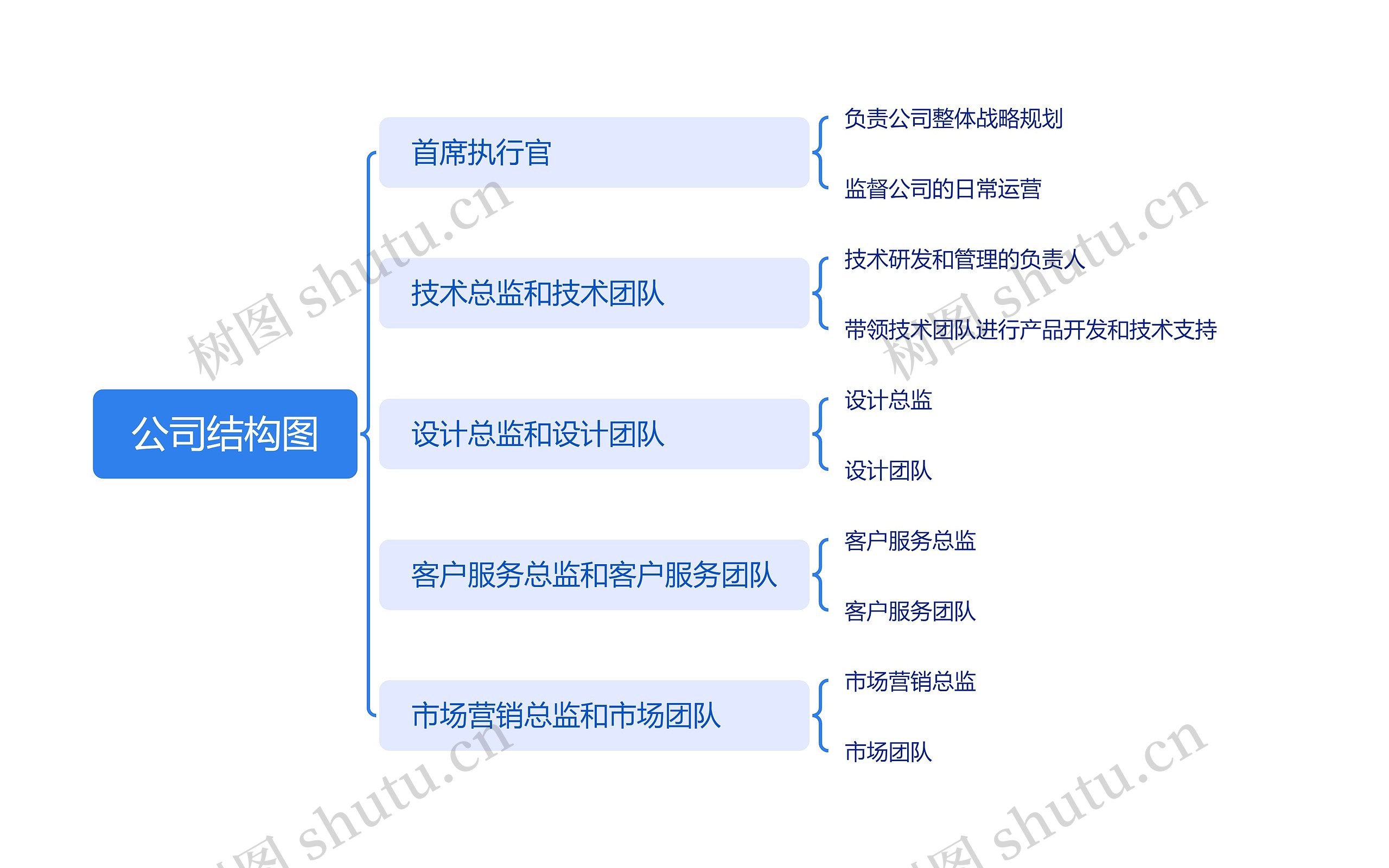 公司结构图