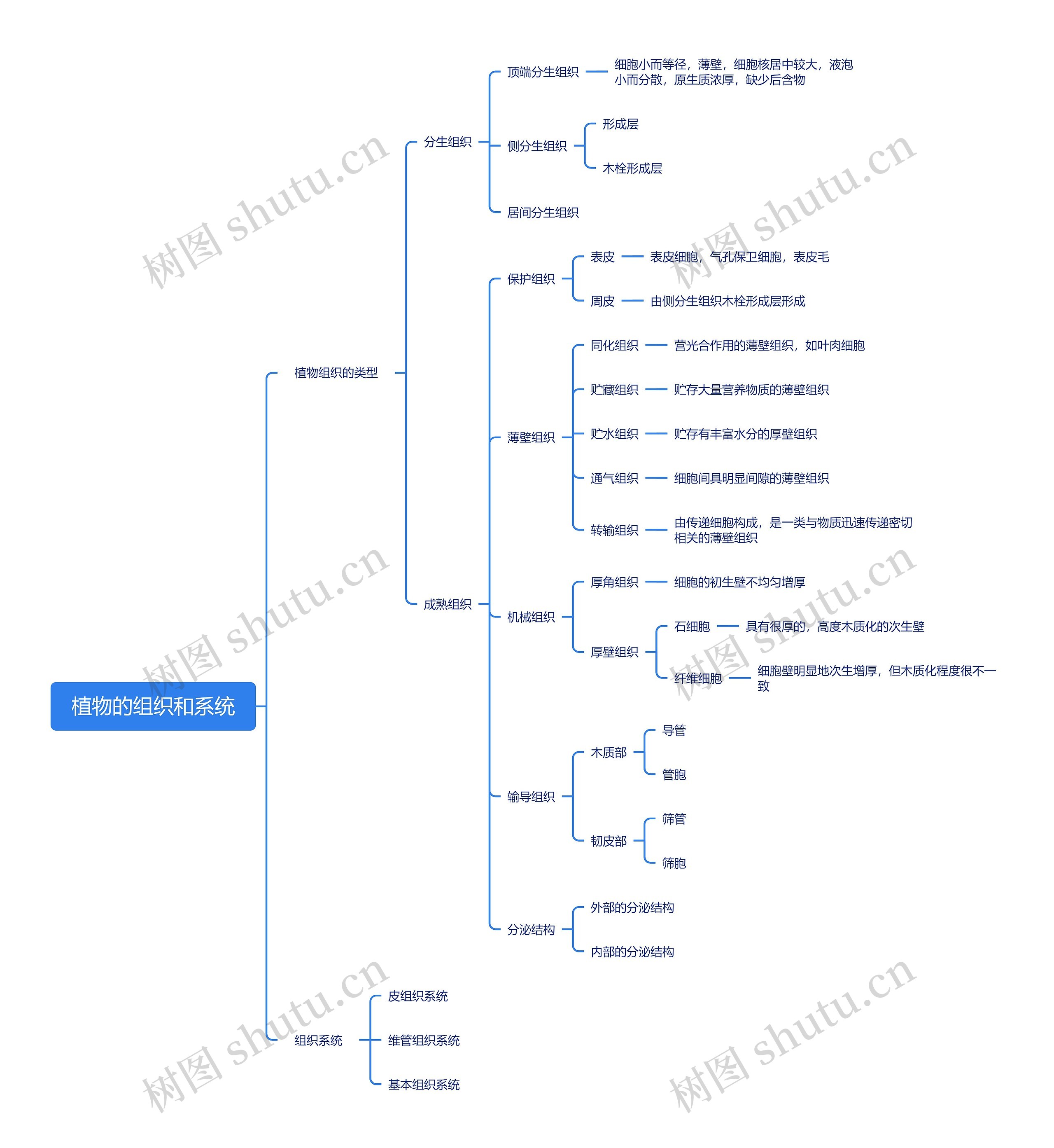 植物的组织和系统思维导图