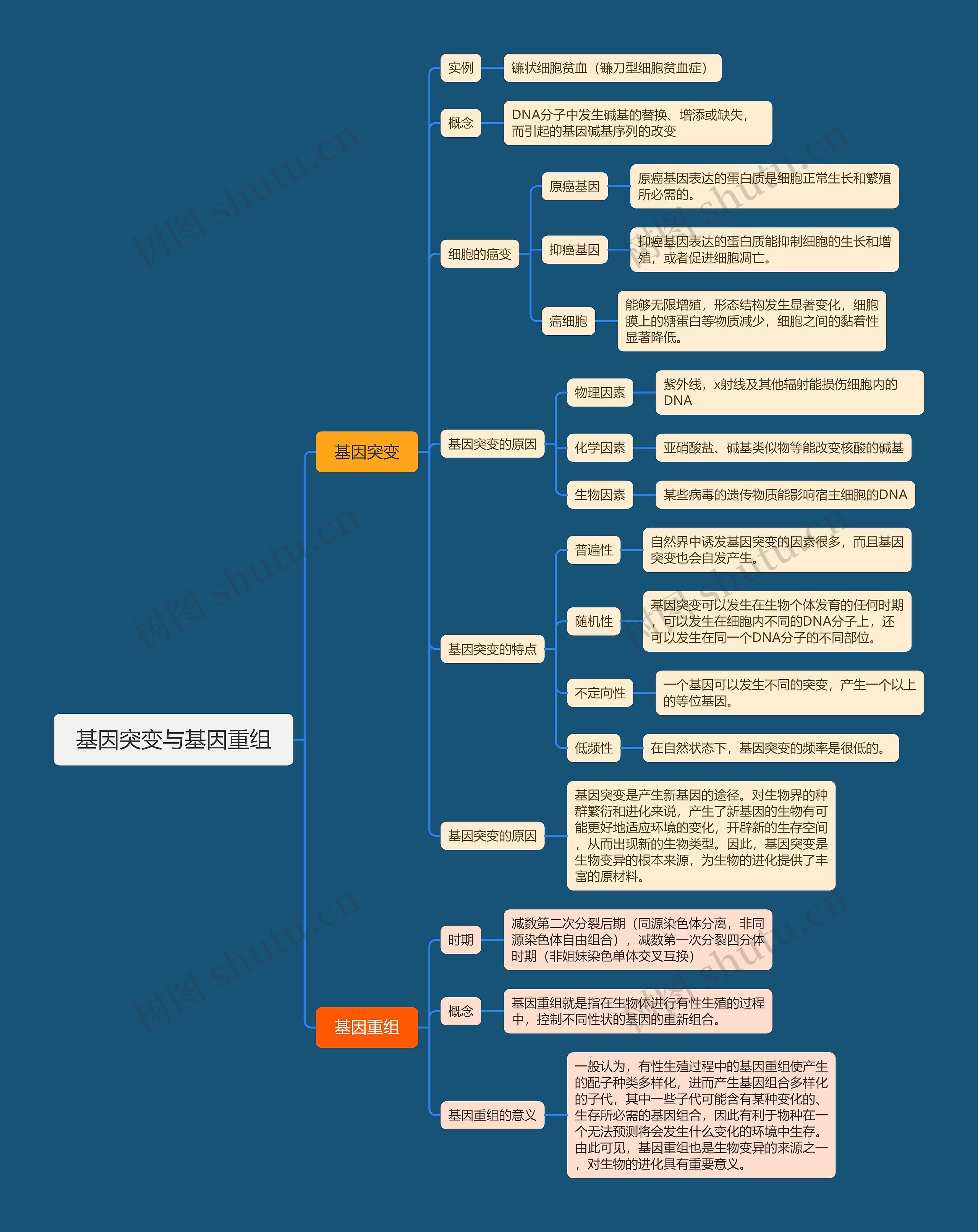 基因突变与基因重组思维导图