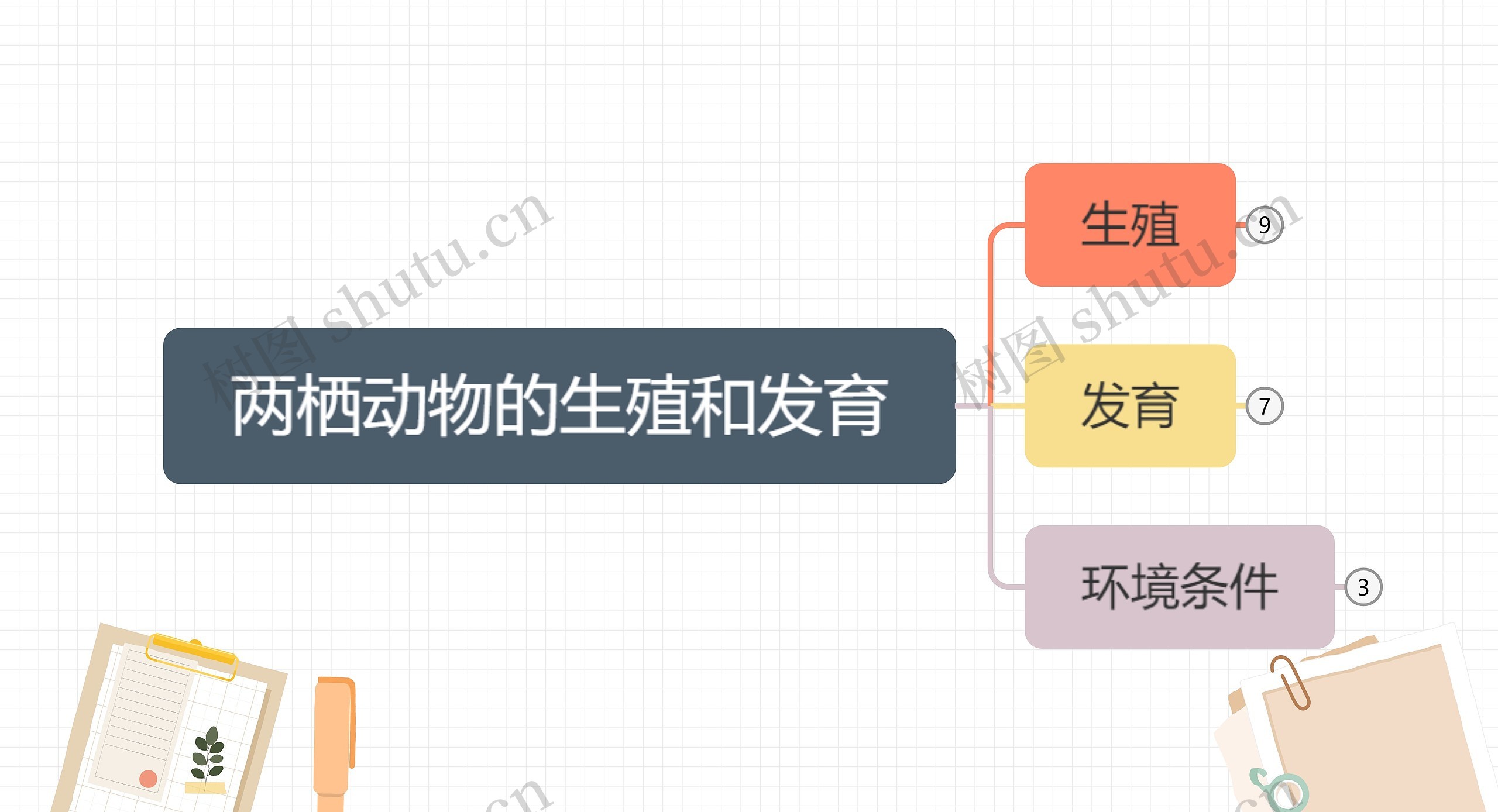 两栖动物的生殖和发育思维导图