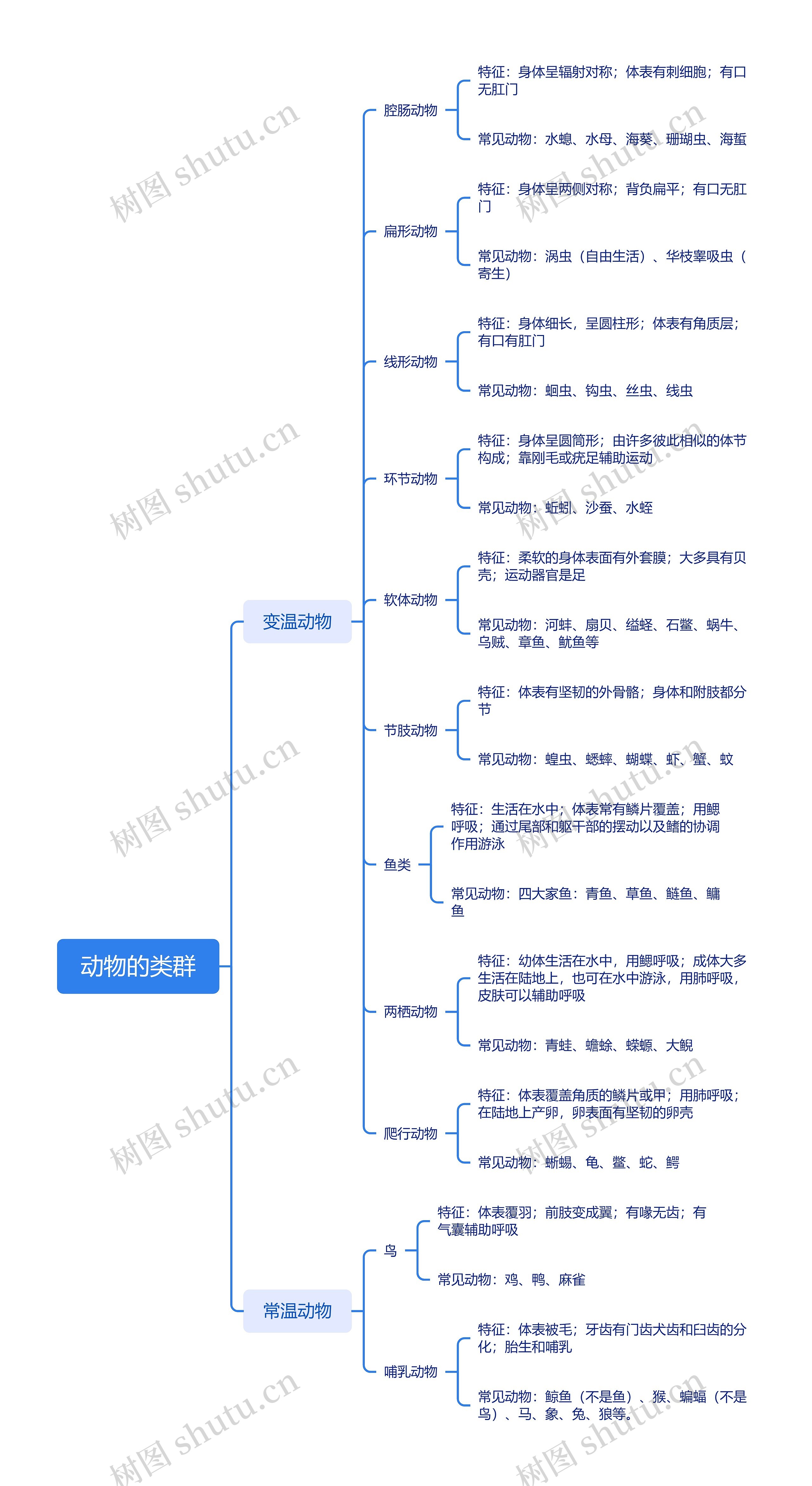 动物的类群思维导图