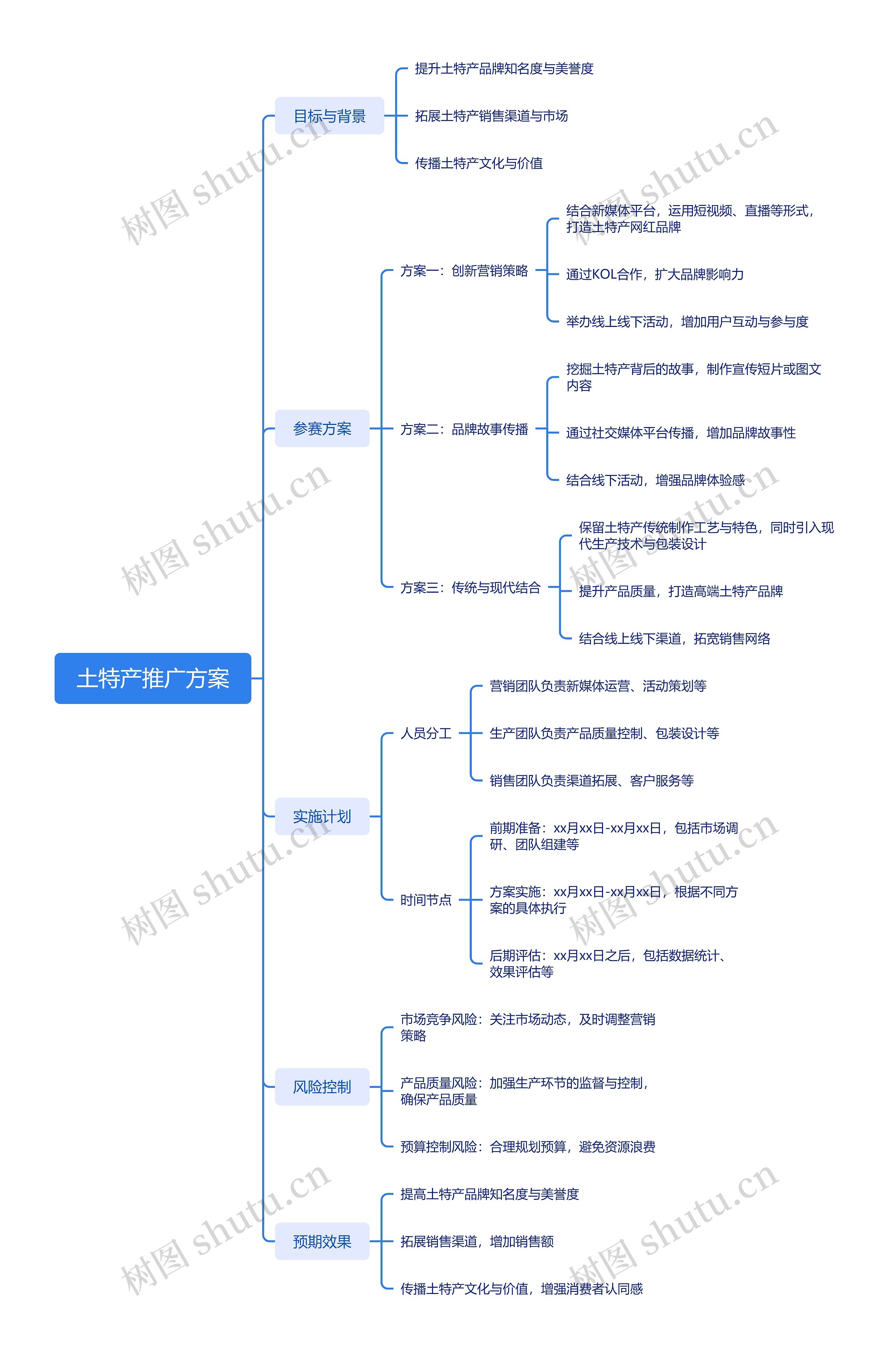 土特产推广方案_副本思维导图