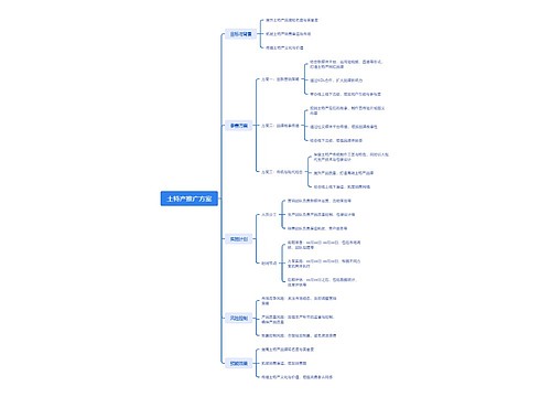 土特产推广方案_副本思维导图