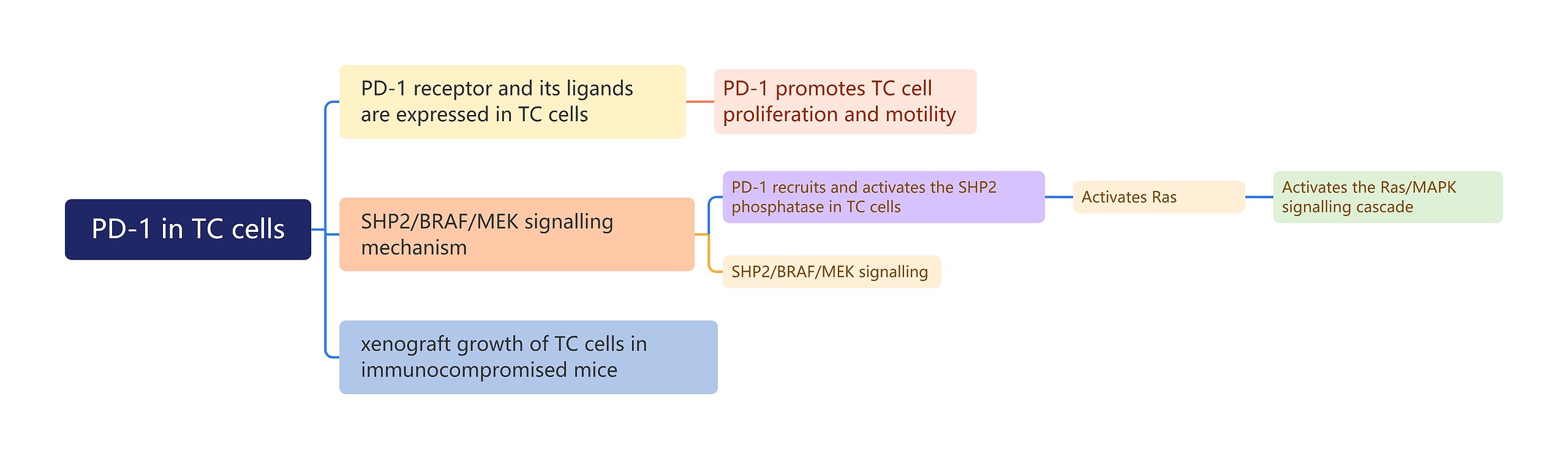 PD-1 in TC cells思维导图