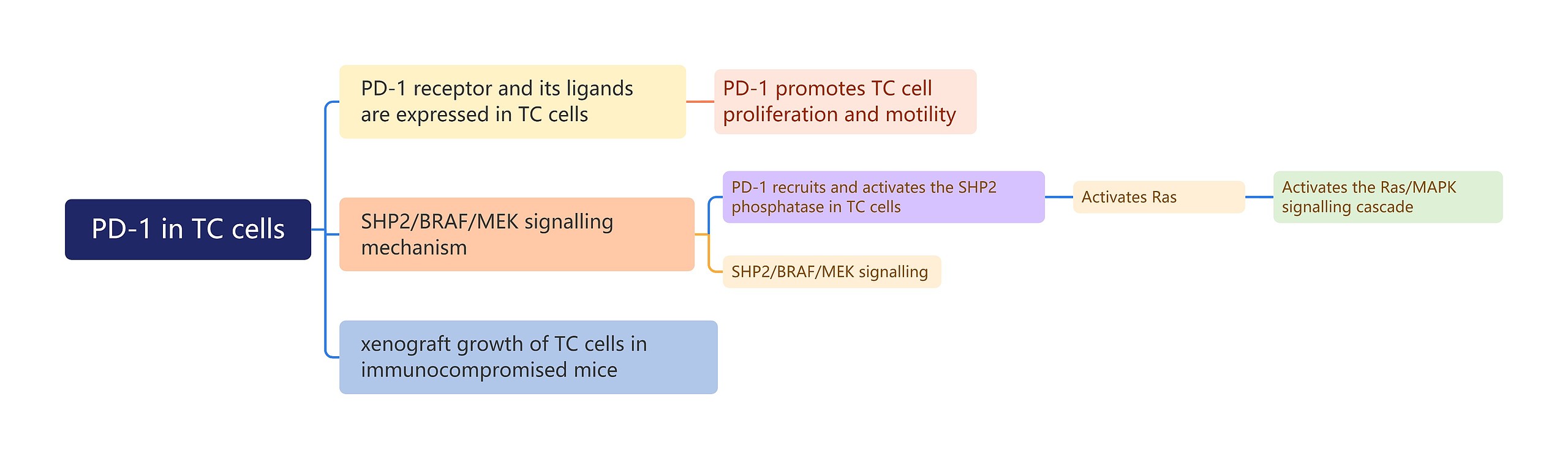 PD-1 in TC cells