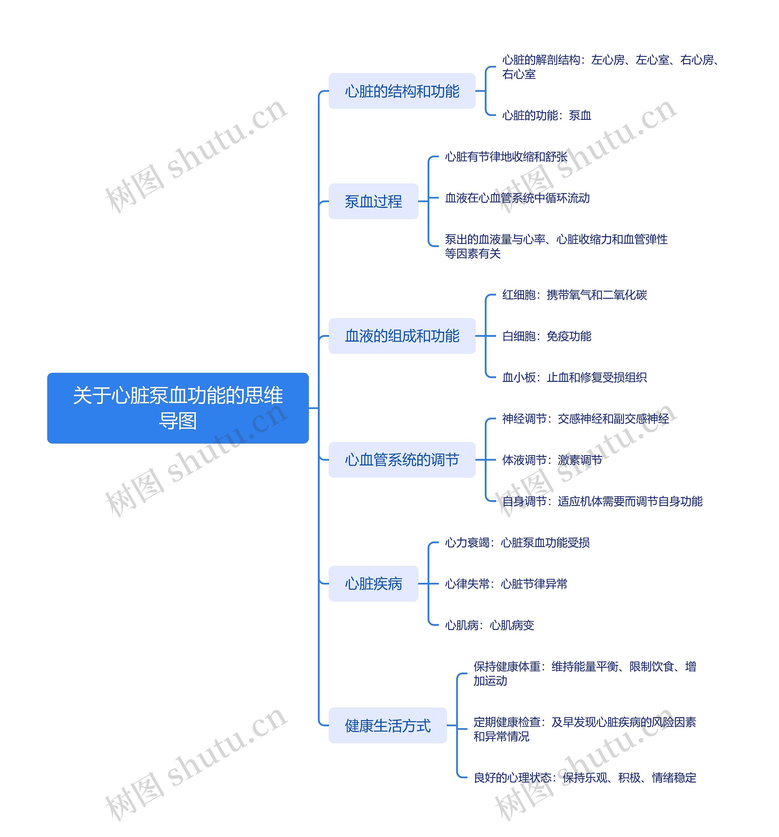 关于心脏泵血功能的思维导图