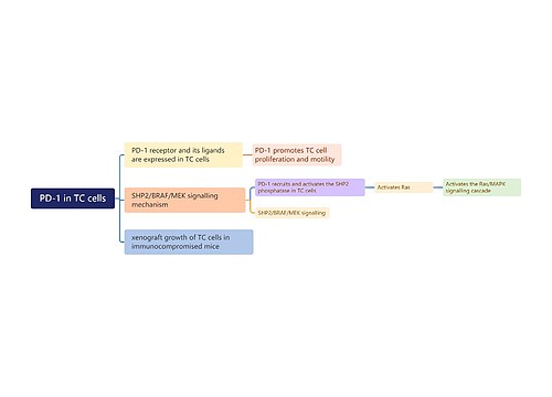 PD-1 in TC cells思维导图