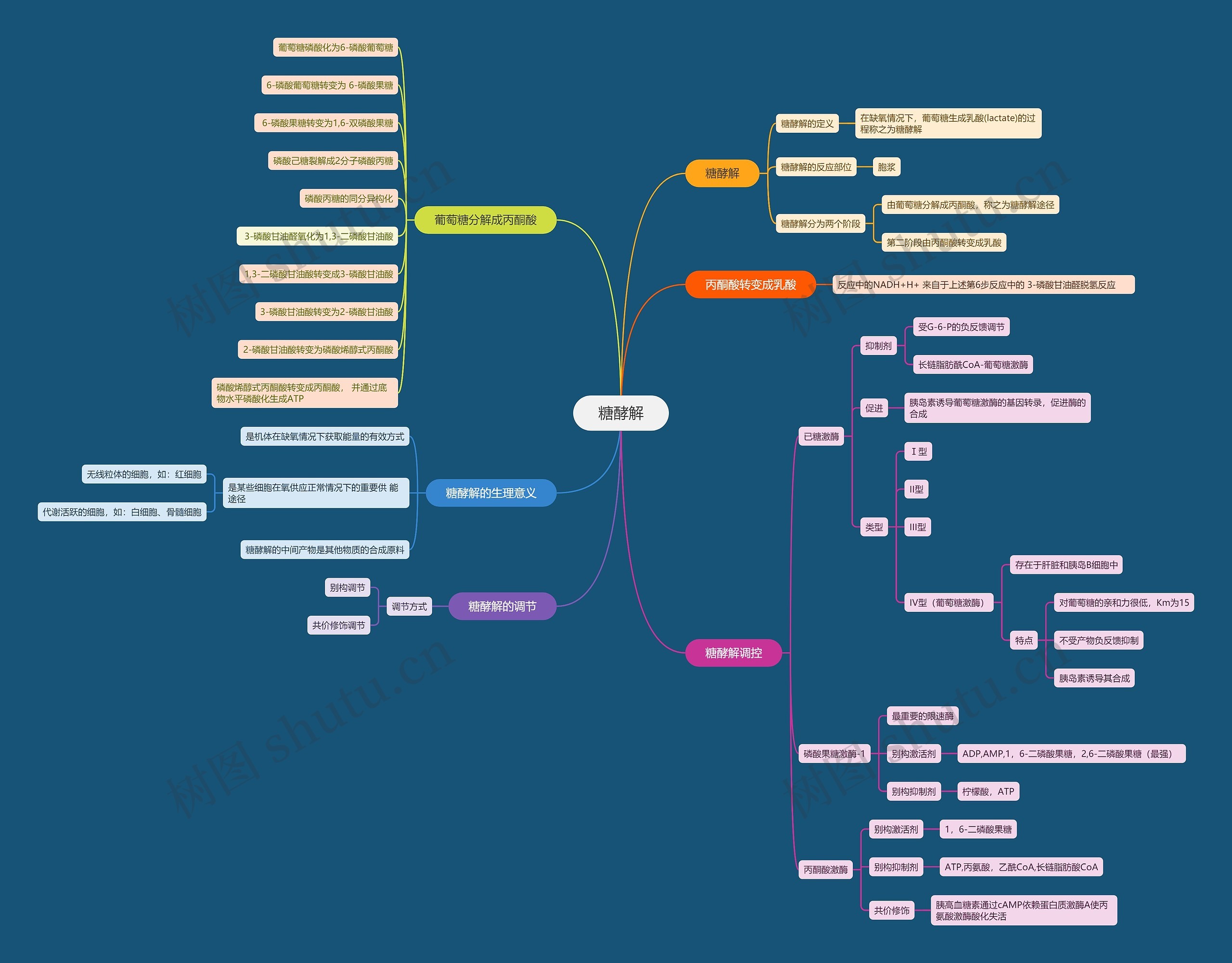 糖酵解化学过程思维脑图