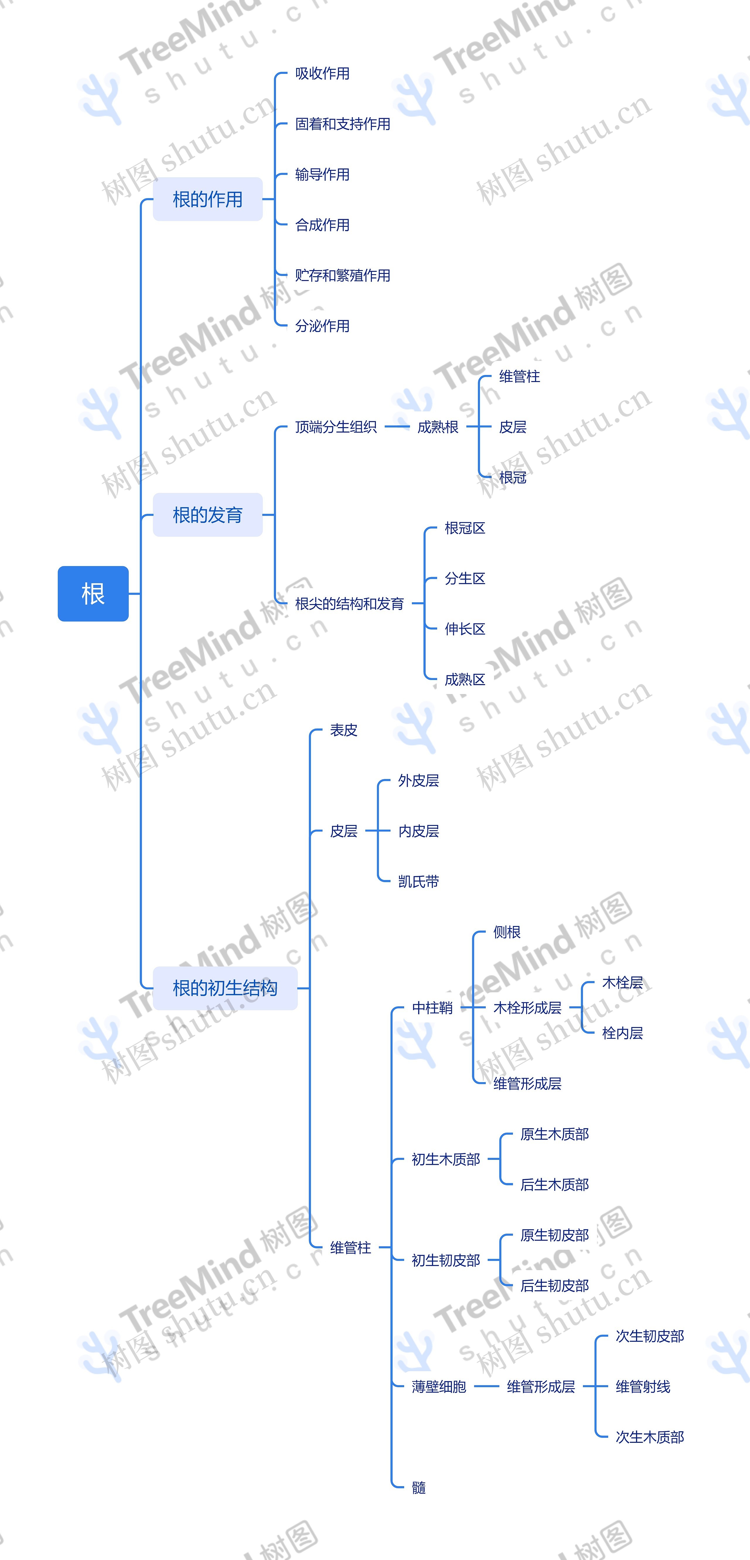 植物的根知识脑图思维导图