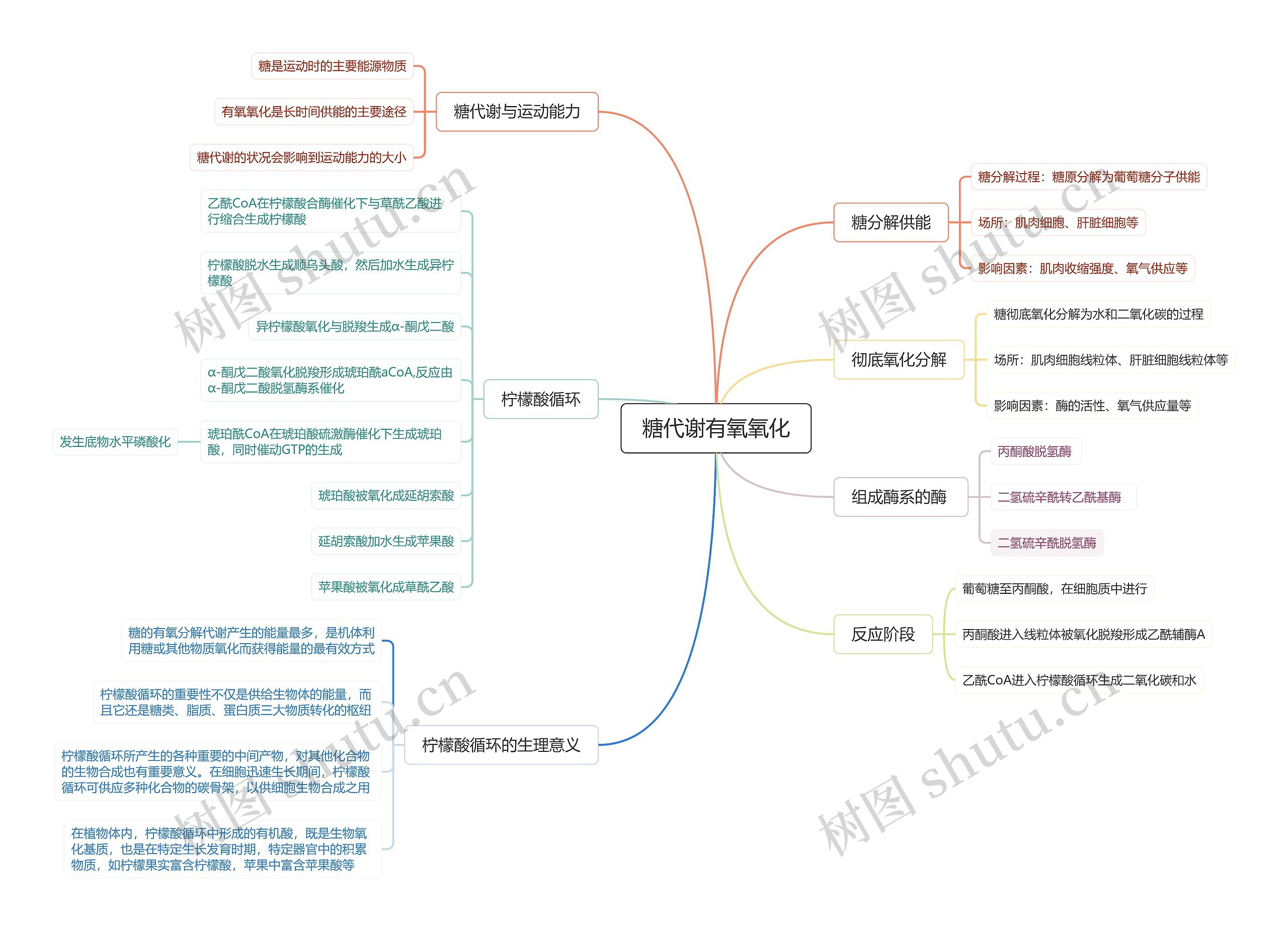 糖代谢有氧氧化思维脑图