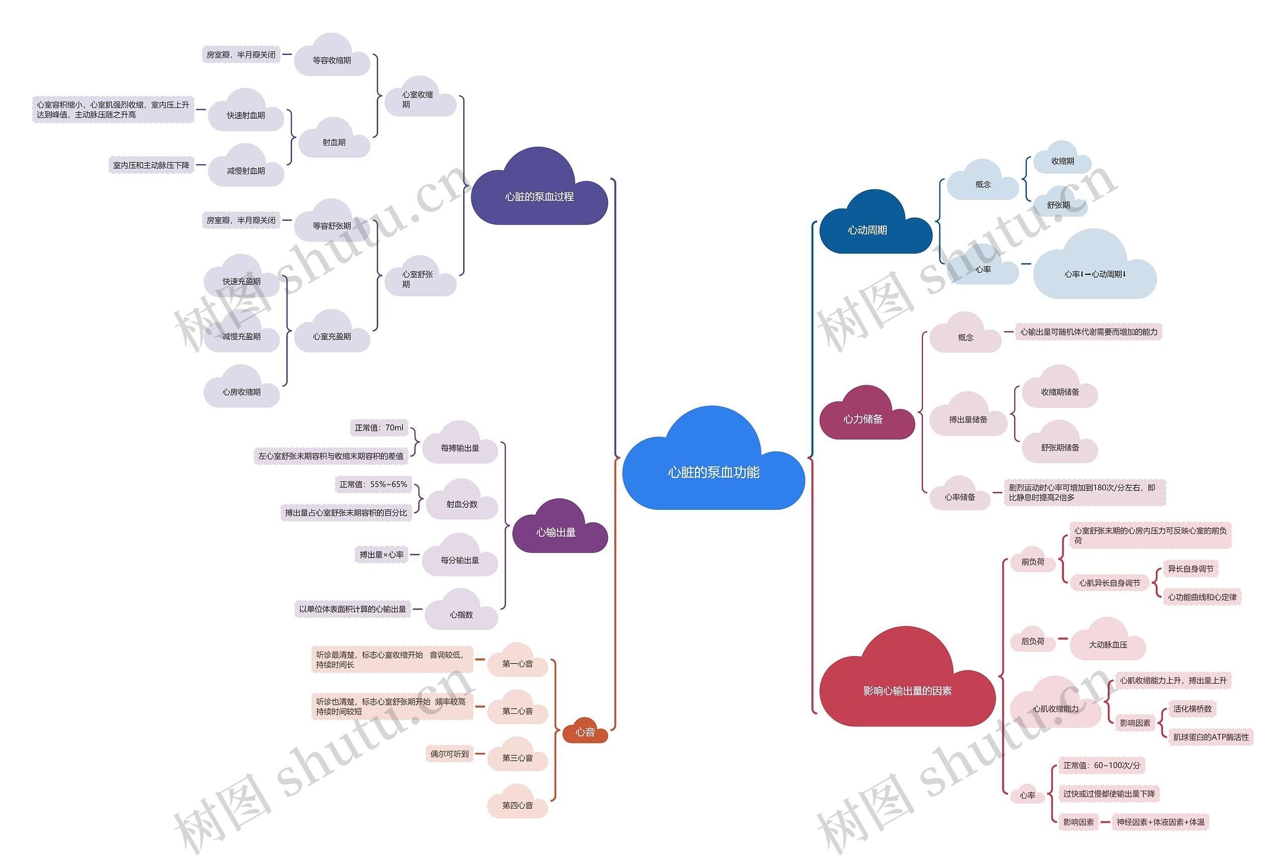 心脏的泵血功能思维脑图