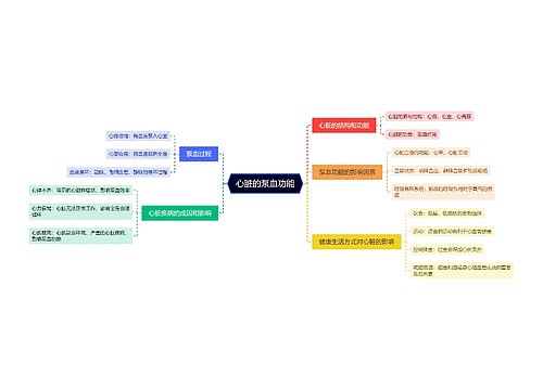心脏的泵血功能思维脑图