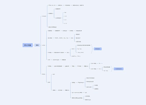 肺炎球菌思维导图