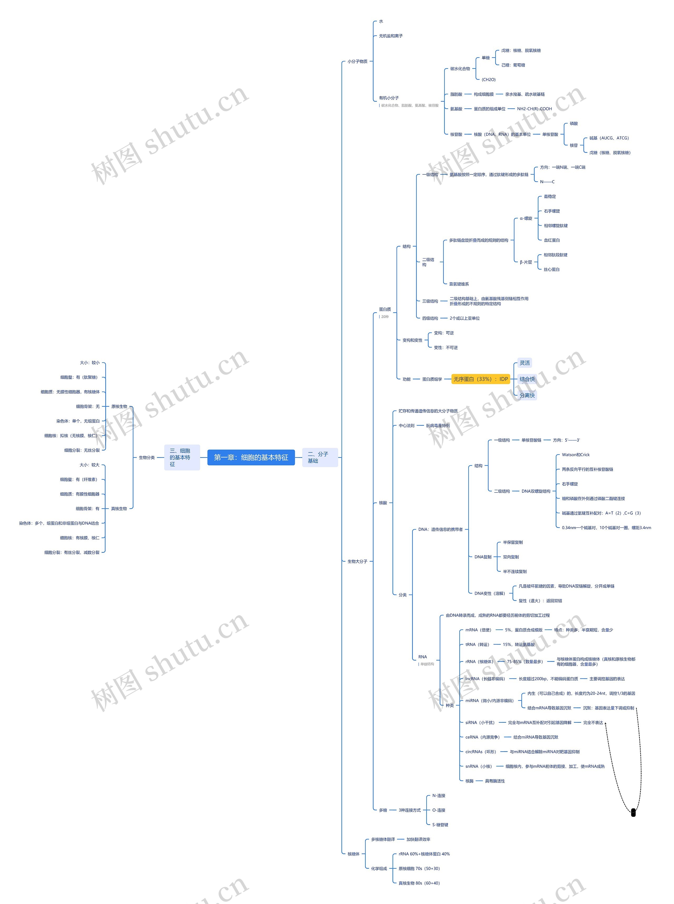 第一章：细胞的基本特征思维导图