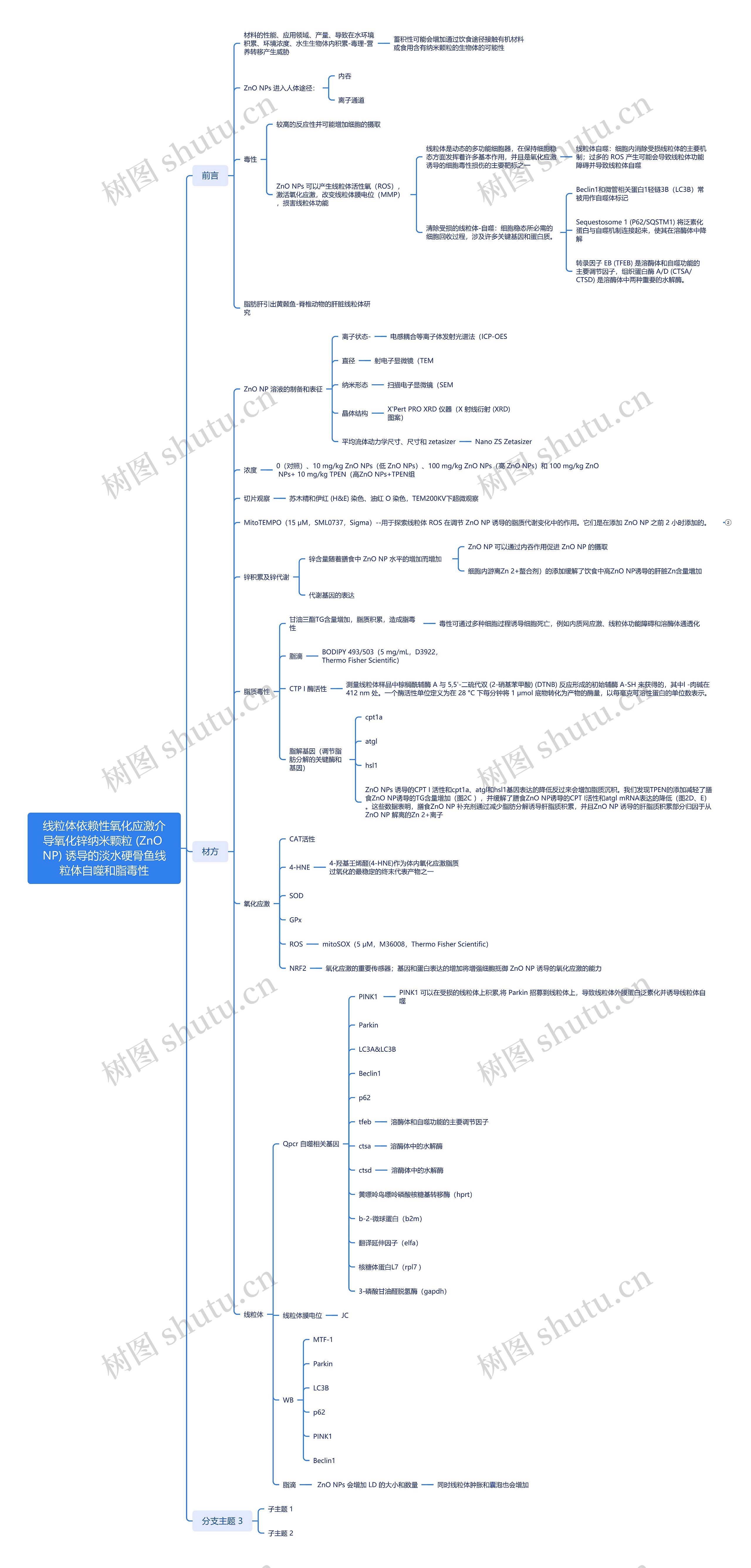 线粒体依赖性氧化应激介导氧化锌纳米颗粒 (ZnO NP) 诱导的淡水硬骨鱼线粒体自噬和脂毒性思维导图