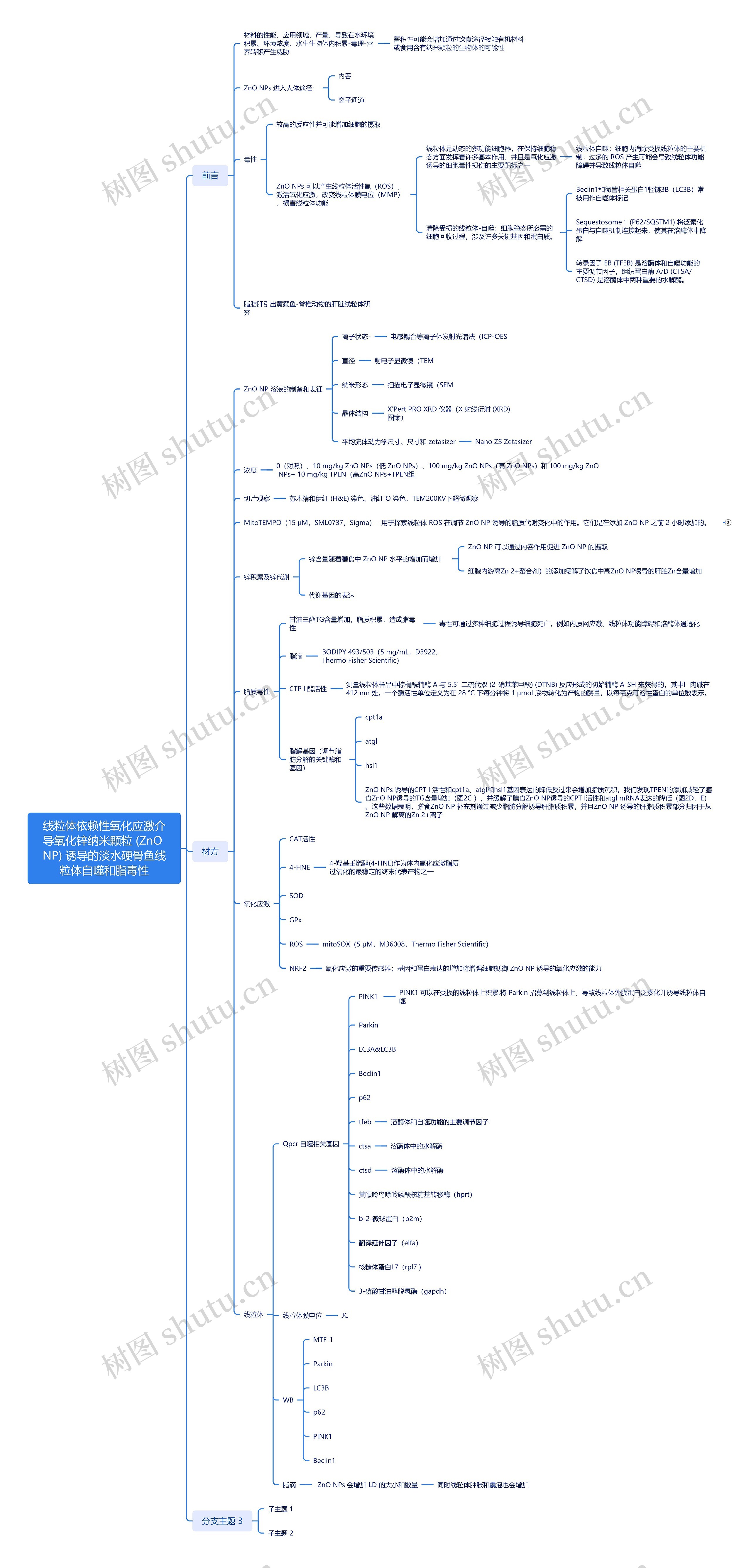 线粒体依赖性氧化应激介导氧化锌纳米颗粒 (ZnO NP) 诱导的淡水硬骨鱼线粒体自噬和脂毒性 线粒体依赖性氧化应激介导氧化锌纳米颗粒 (ZnO NP) 诱导的淡水硬骨鱼线粒体自噬和脂毒性