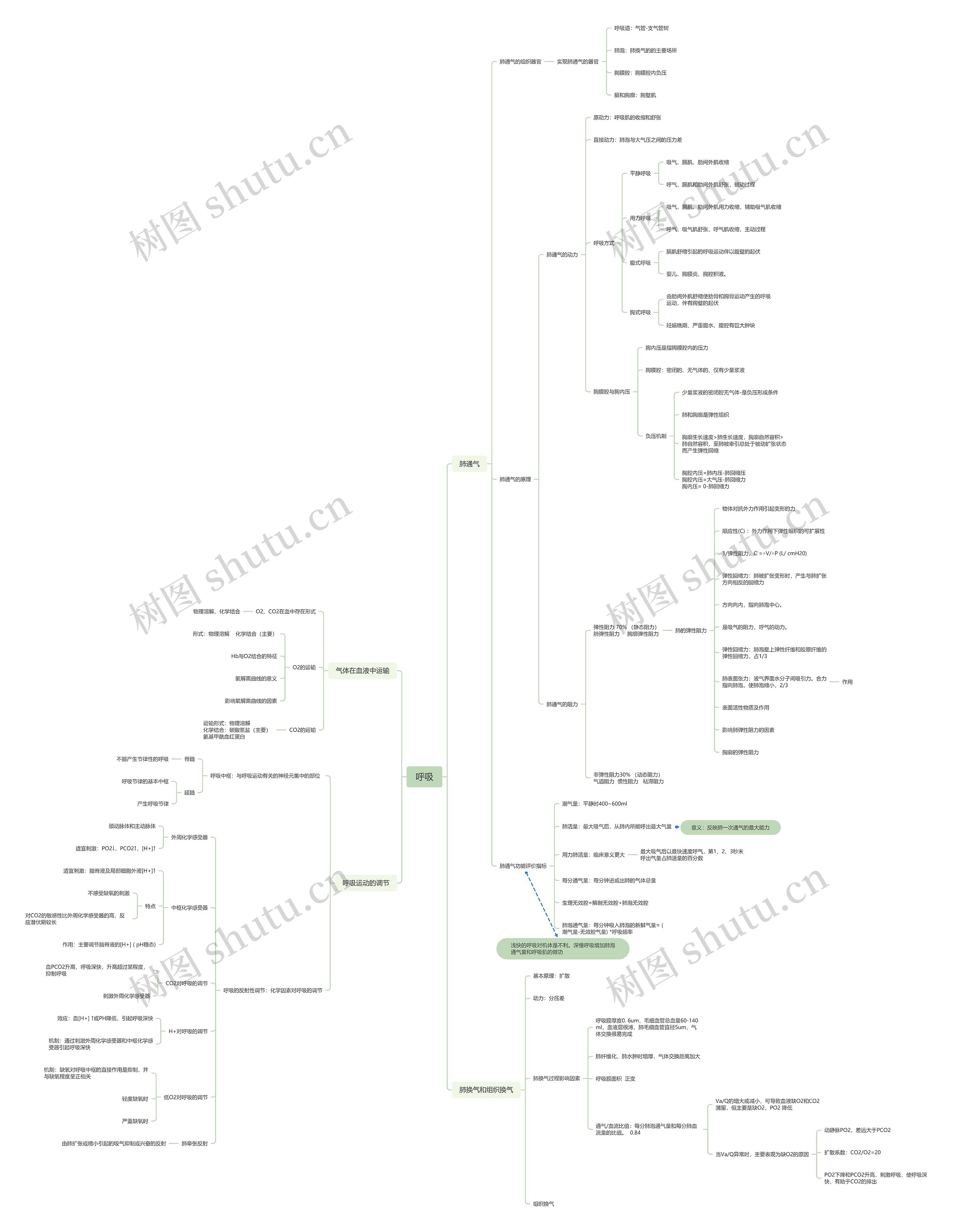 呼吸医疗知识脑图思维导图