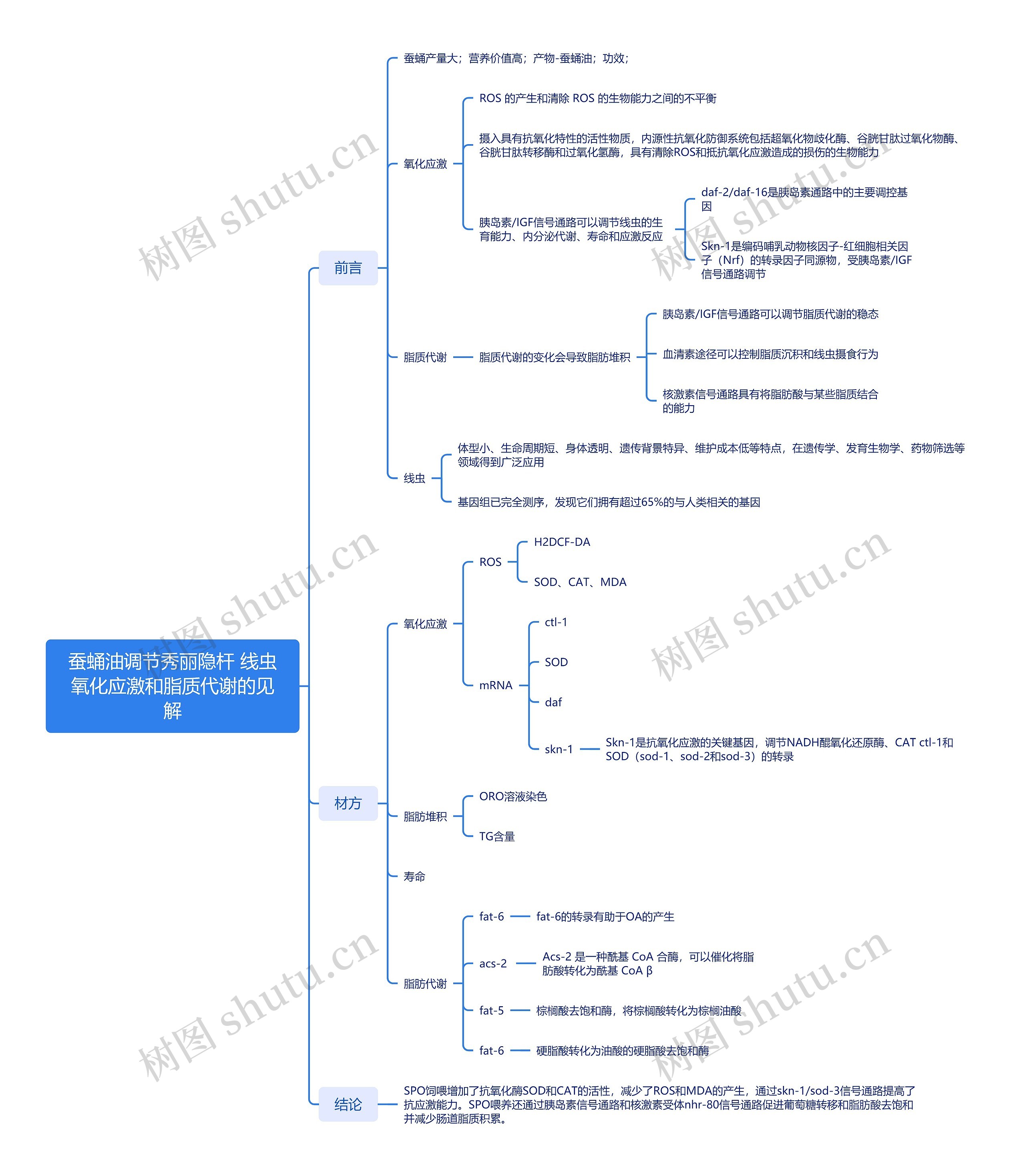 蚕蛹油调节秀丽隐杆线虫氧化应激和脂质代谢的见解思维导图