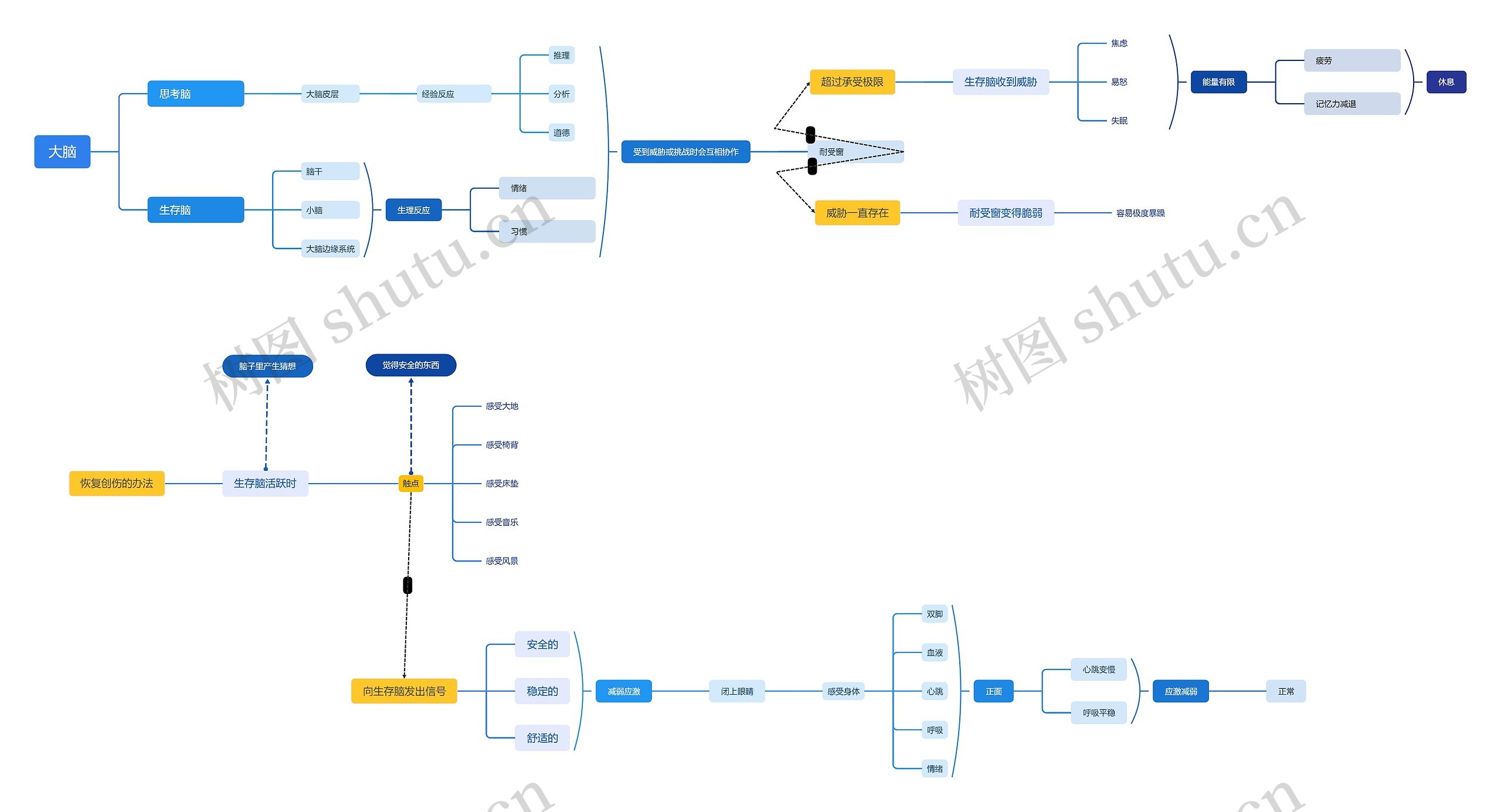 大脑相关知识思维脑图