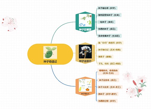 种子奇遇记思维导图