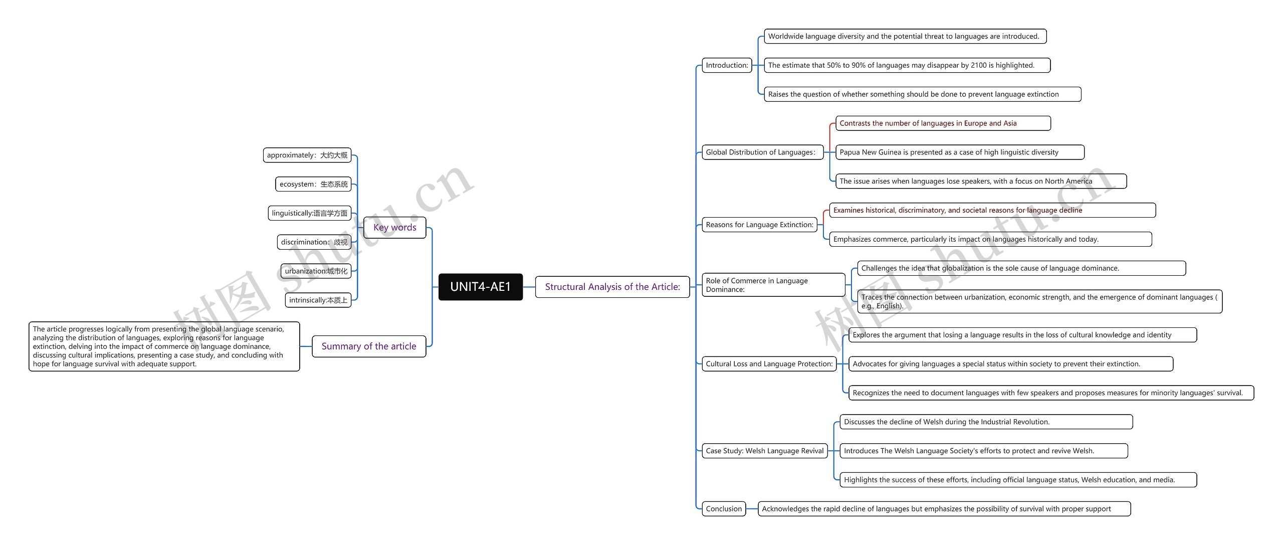 UNIT4-AE1知识点脑图思维导图