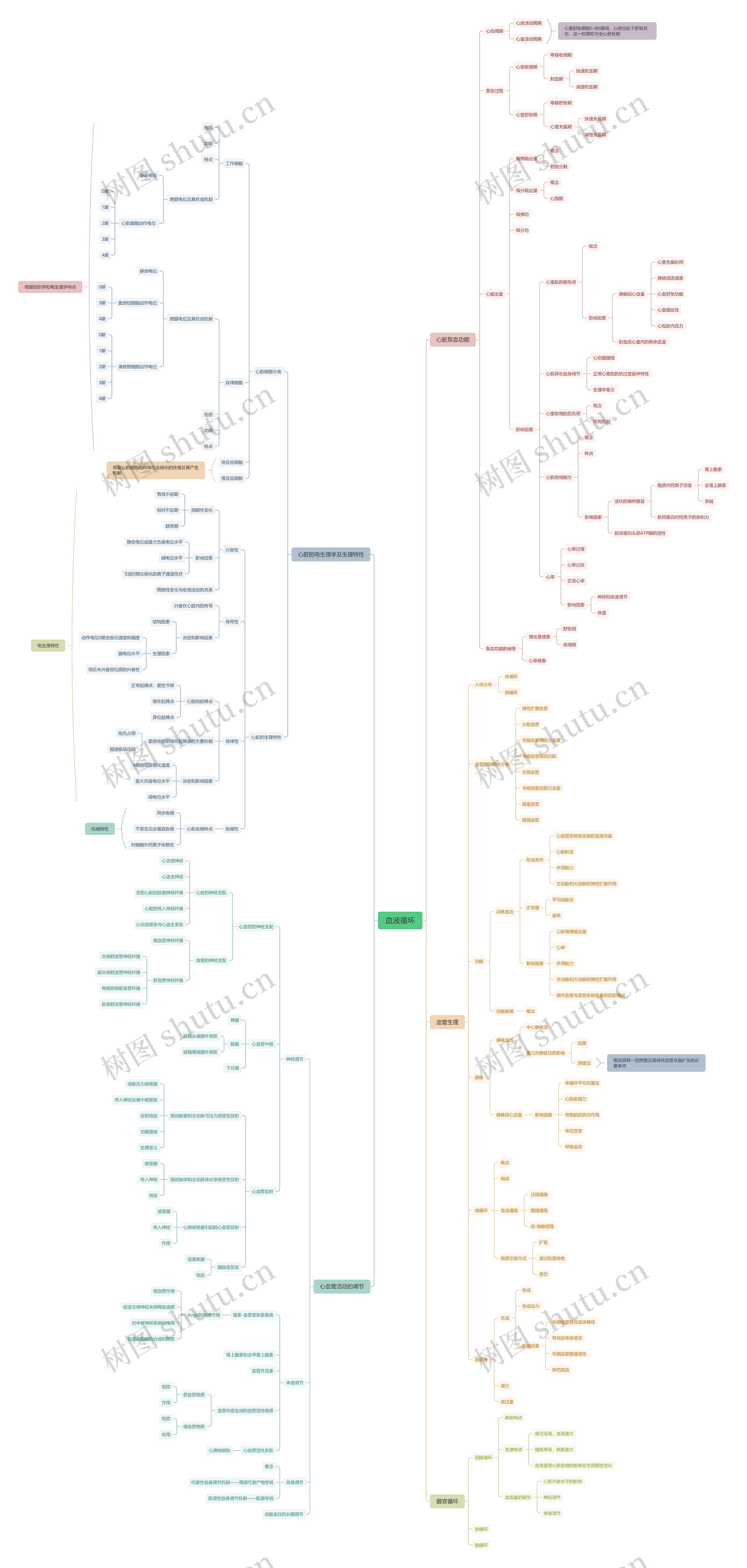 血液循环医疗知识脑图