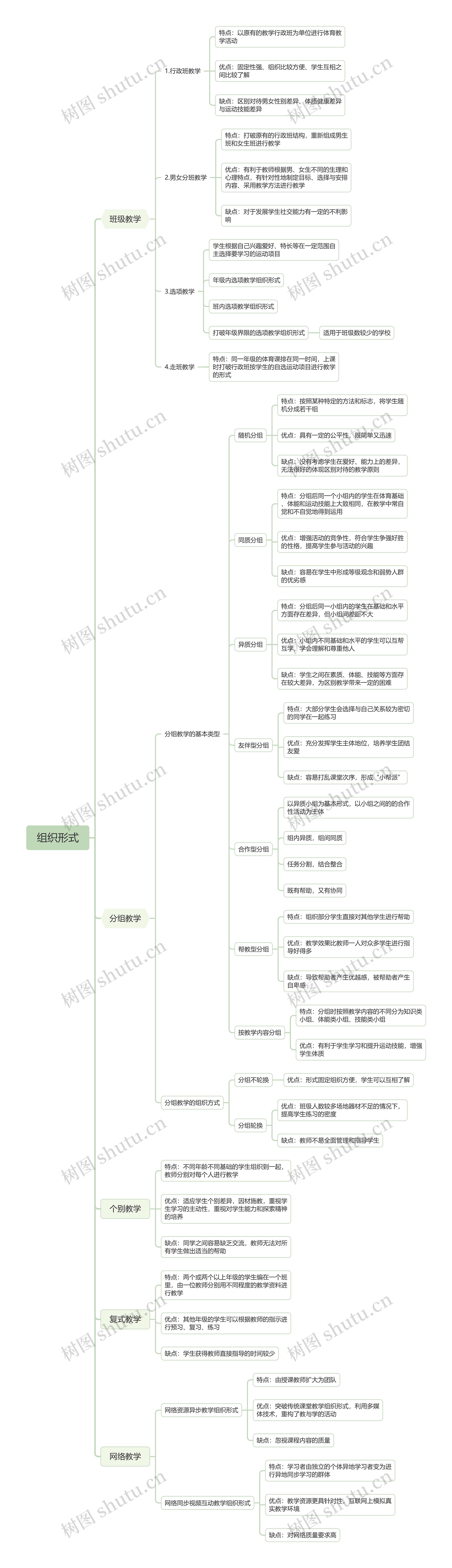 班级组织形式脑图