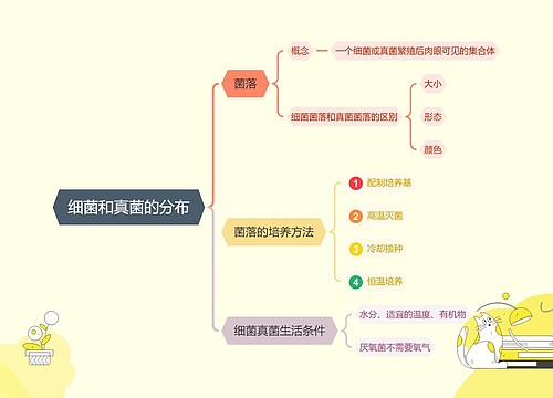 ﻿细菌和真菌的分布思维导图