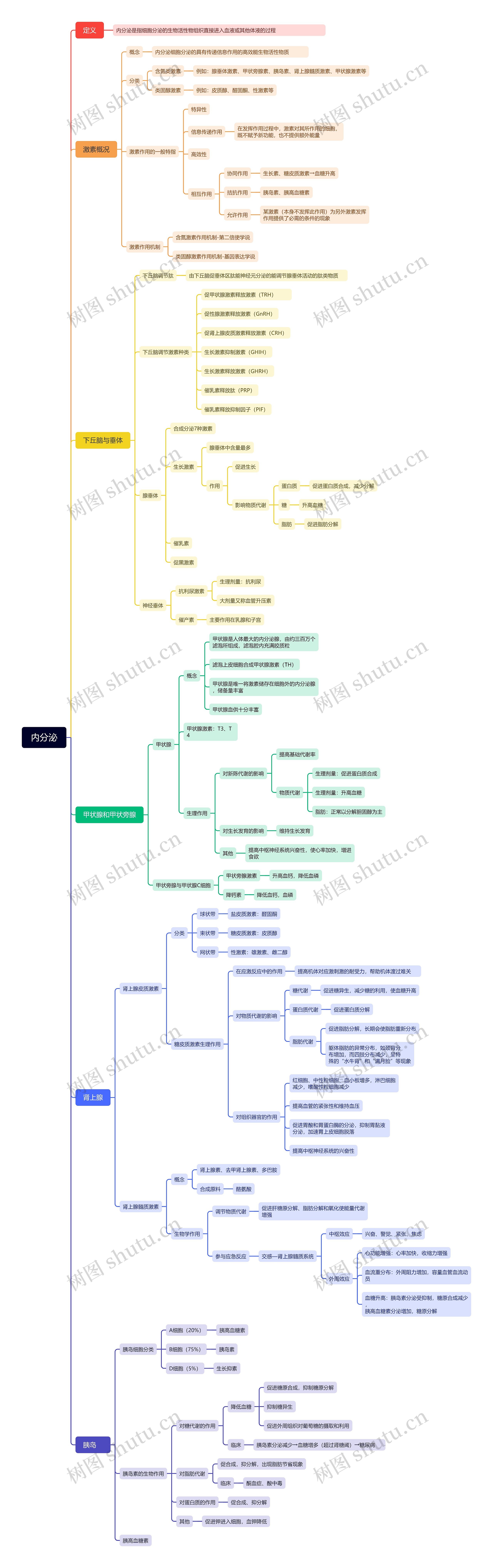 ﻿内分泌思维导图