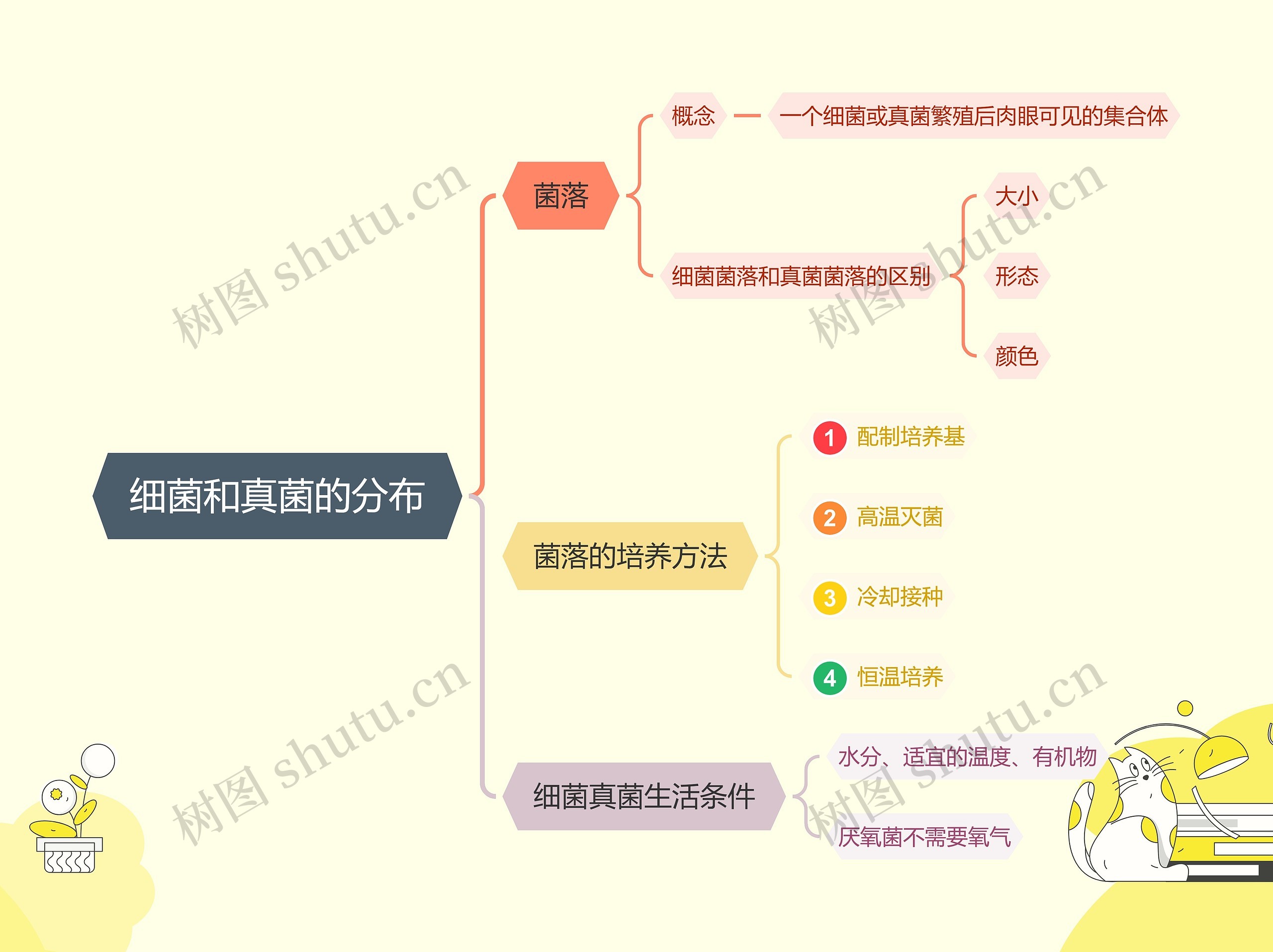 ﻿细菌和真菌的分布