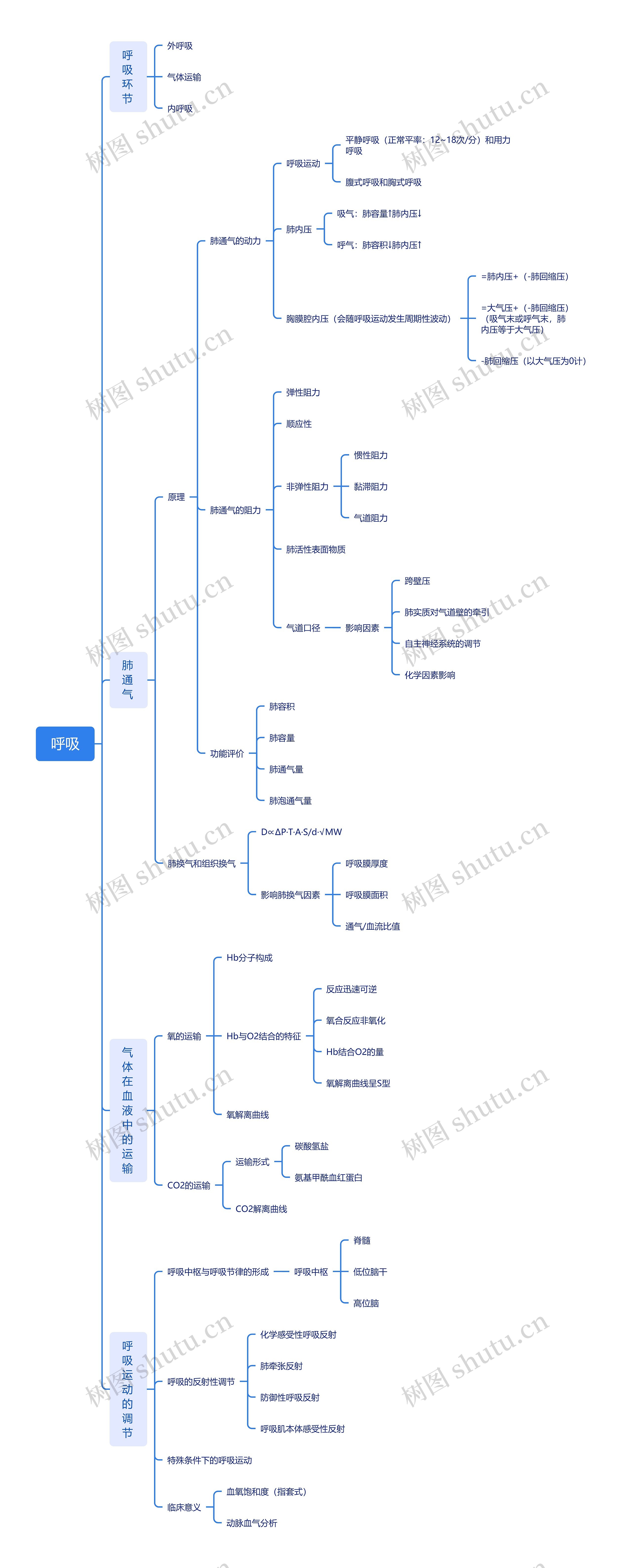 呼吸理论知识脑图思维导图