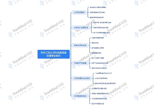 软件工程公司年底高质量的董事会报告_副本