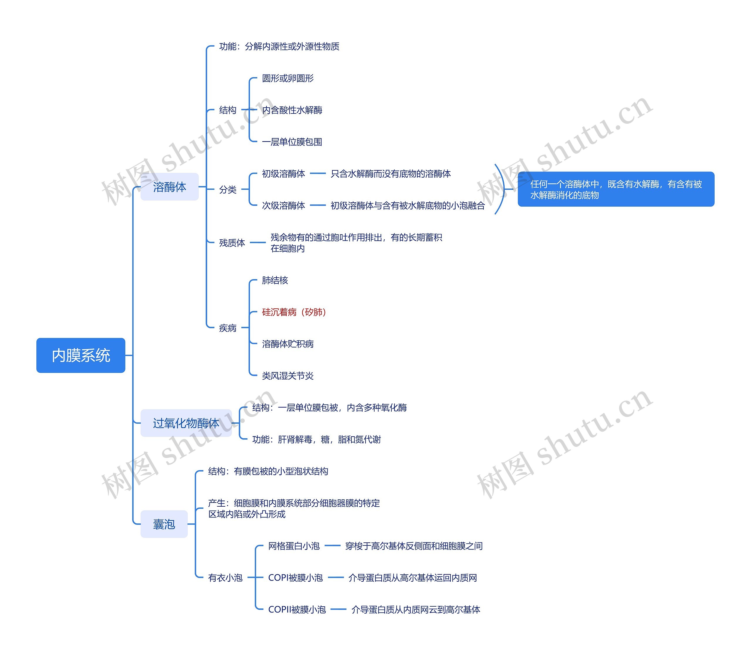 ﻿内膜系统思维导图