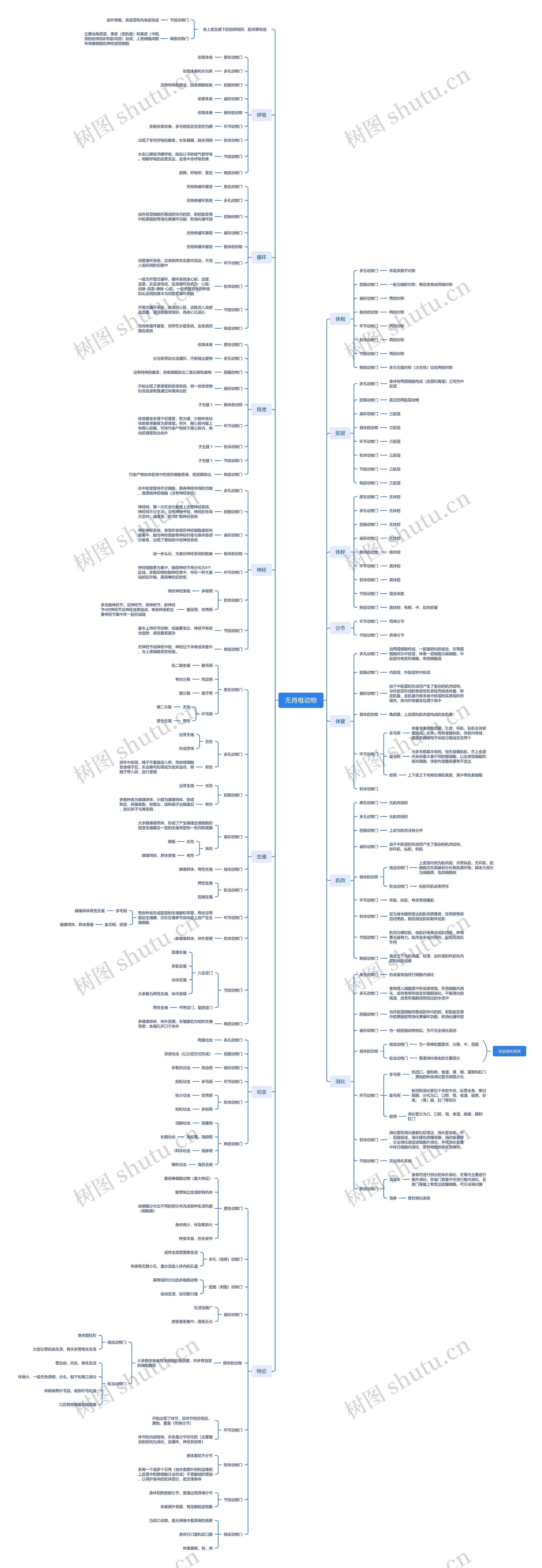 无脊椎动物思维导图