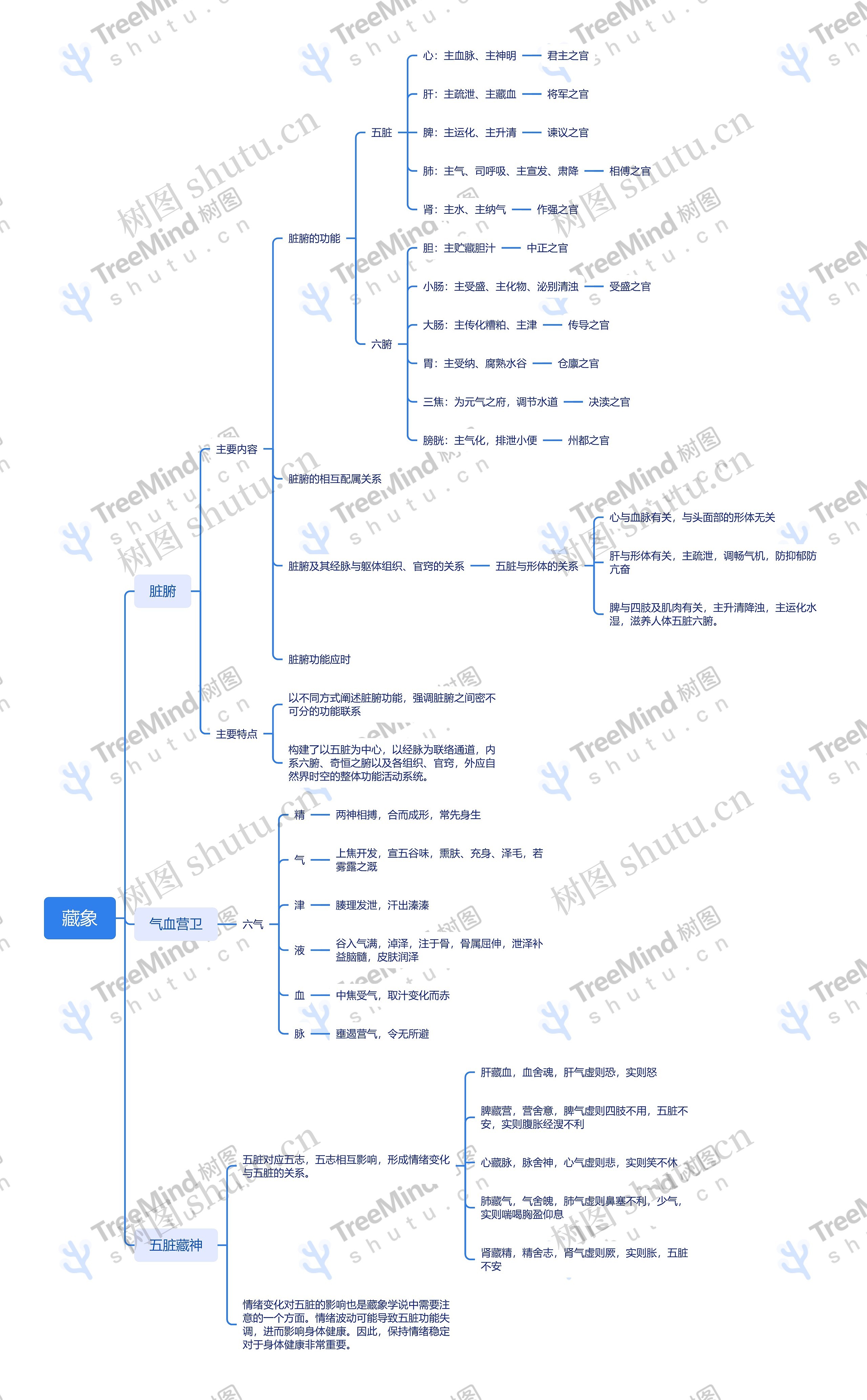 藏象-素问·六节藏象论脑图思维导图