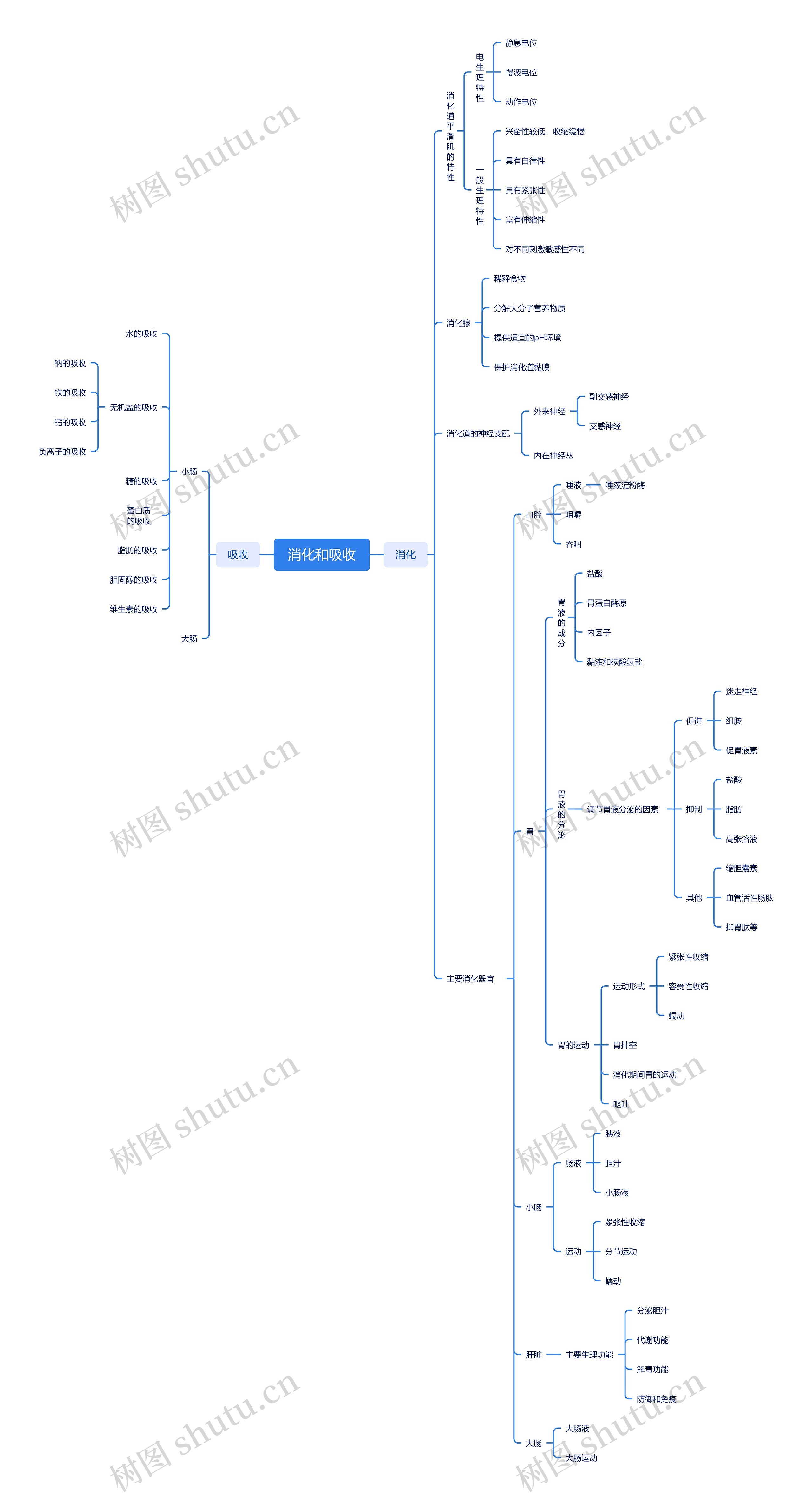 消化和吸收思维脑图